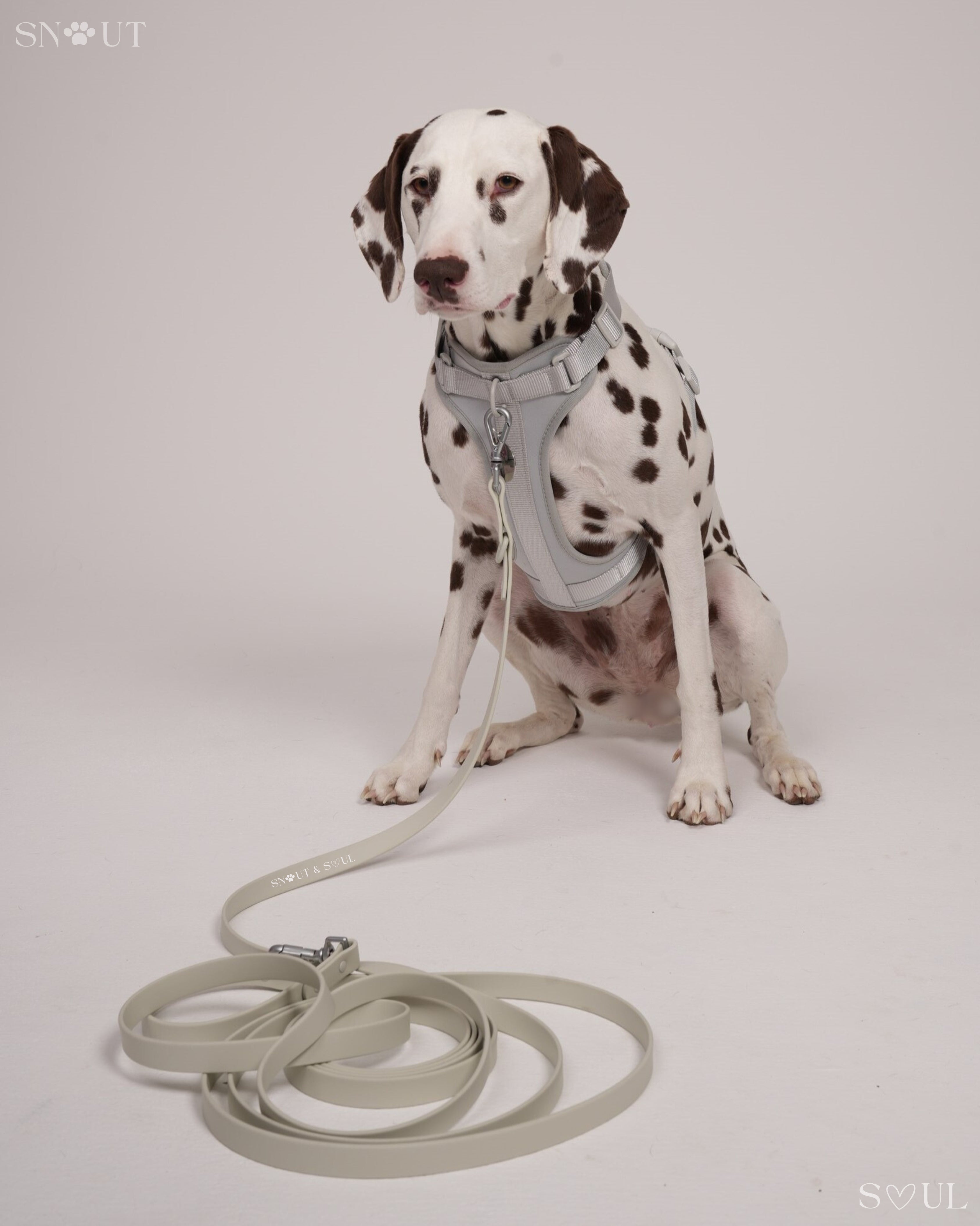 Long Leash