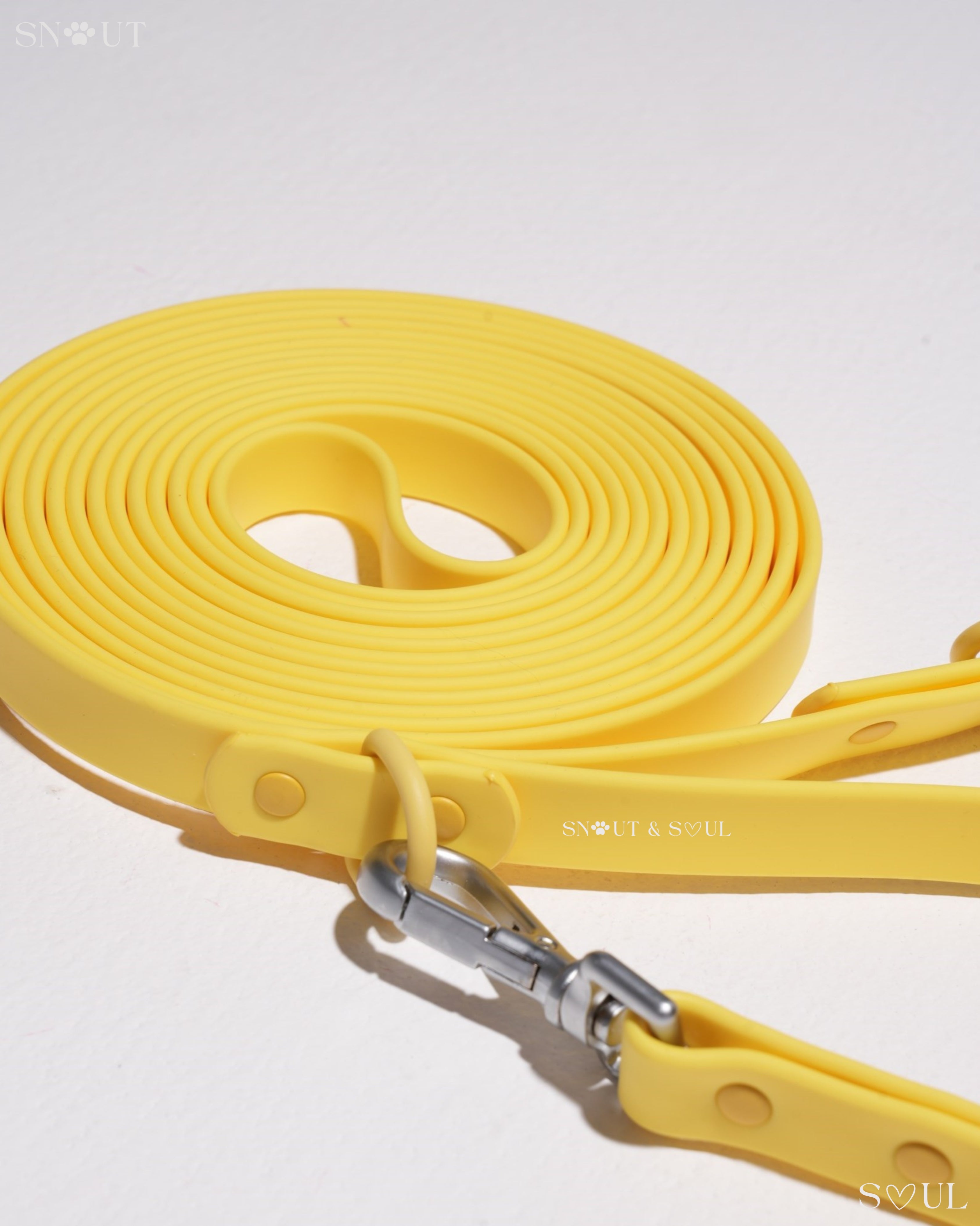 Long Leash