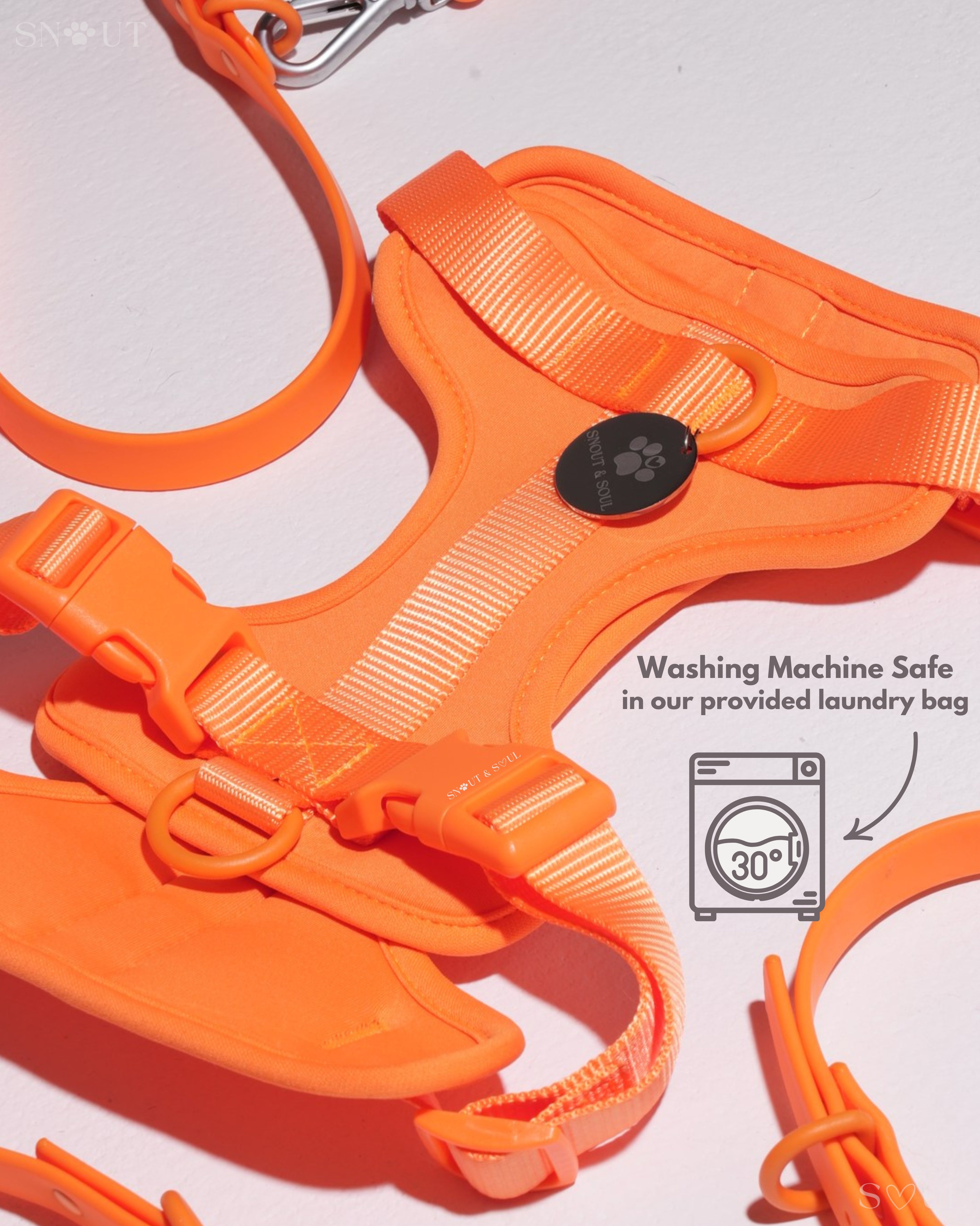Harness Walk Set
