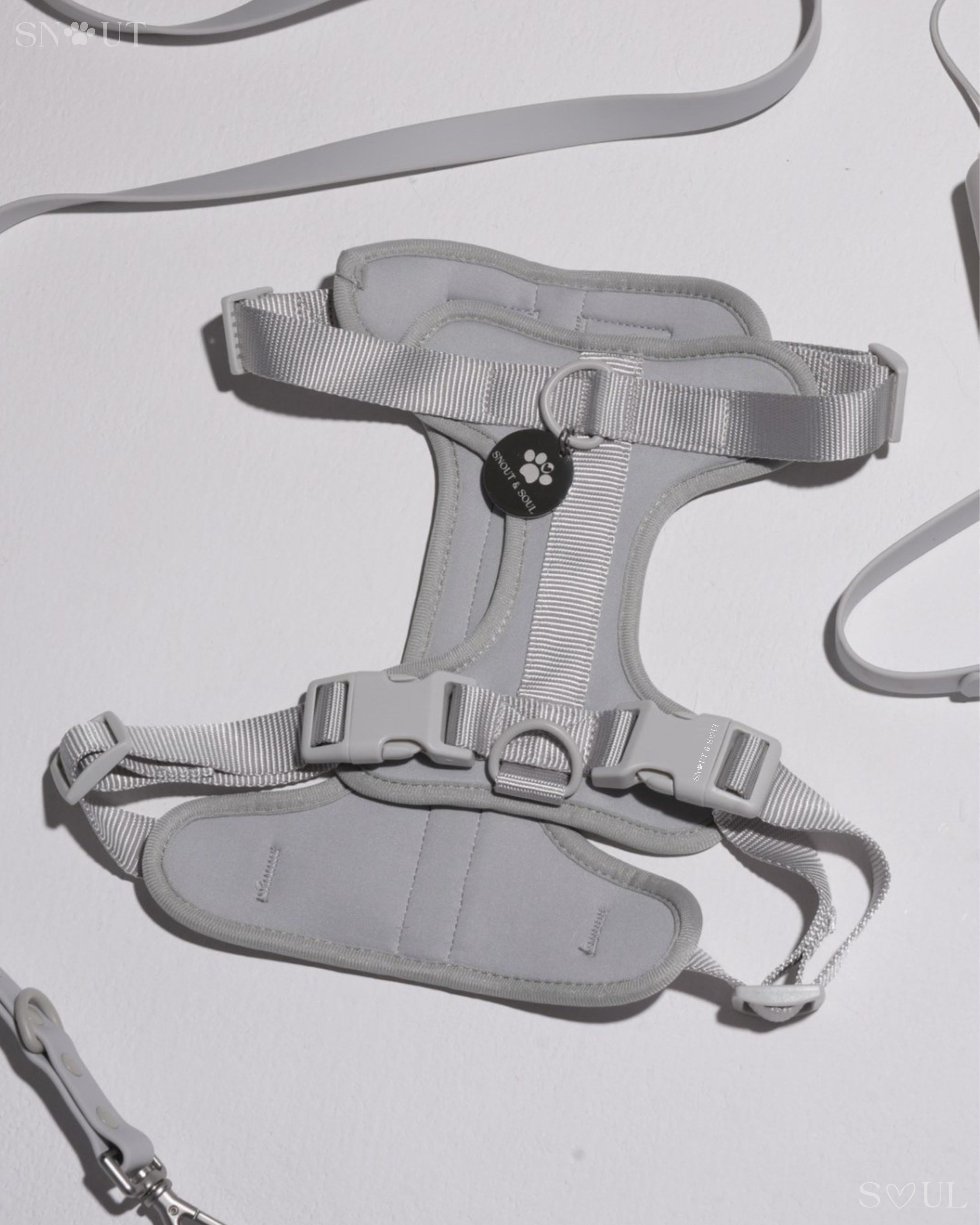 Harness