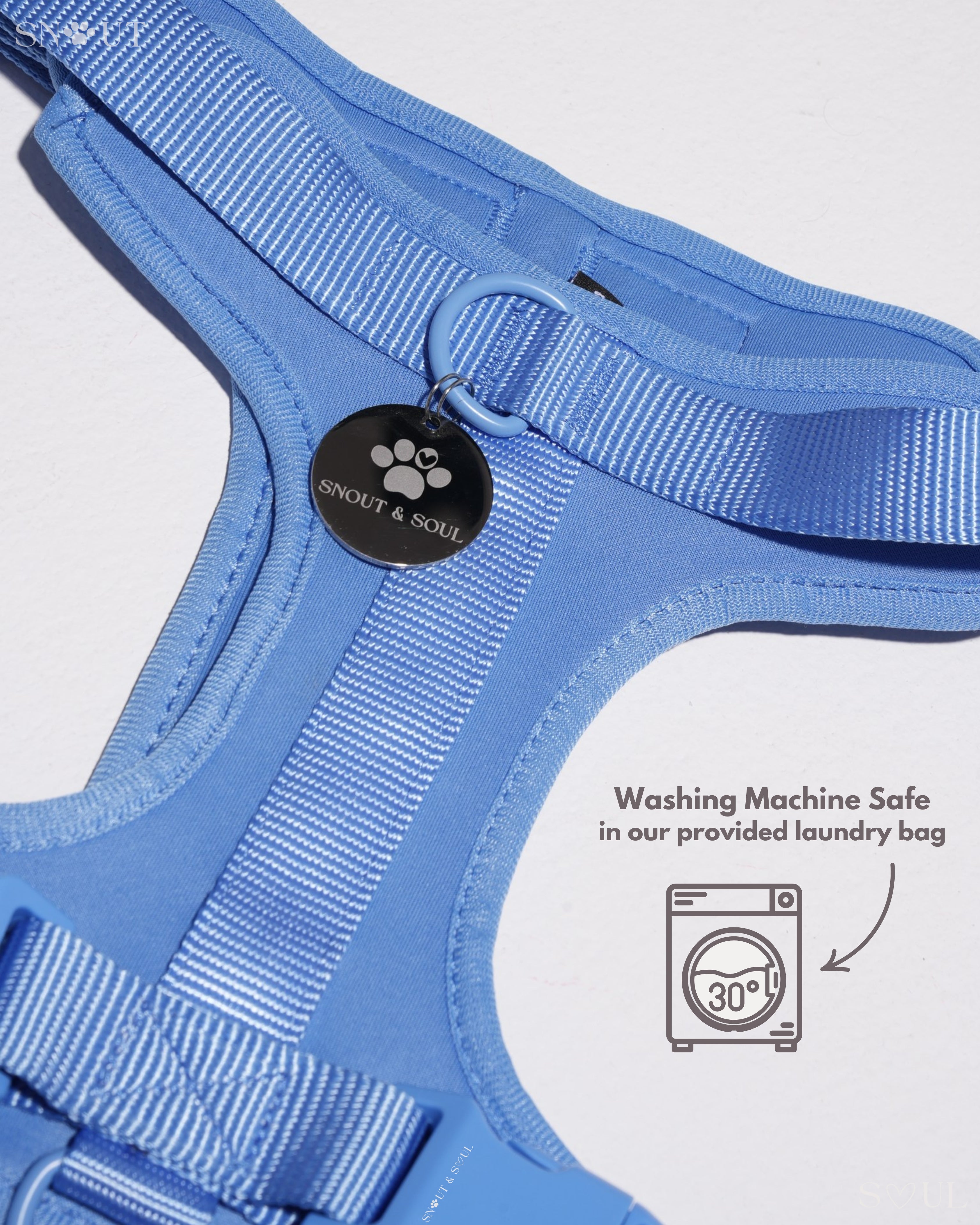 Harness