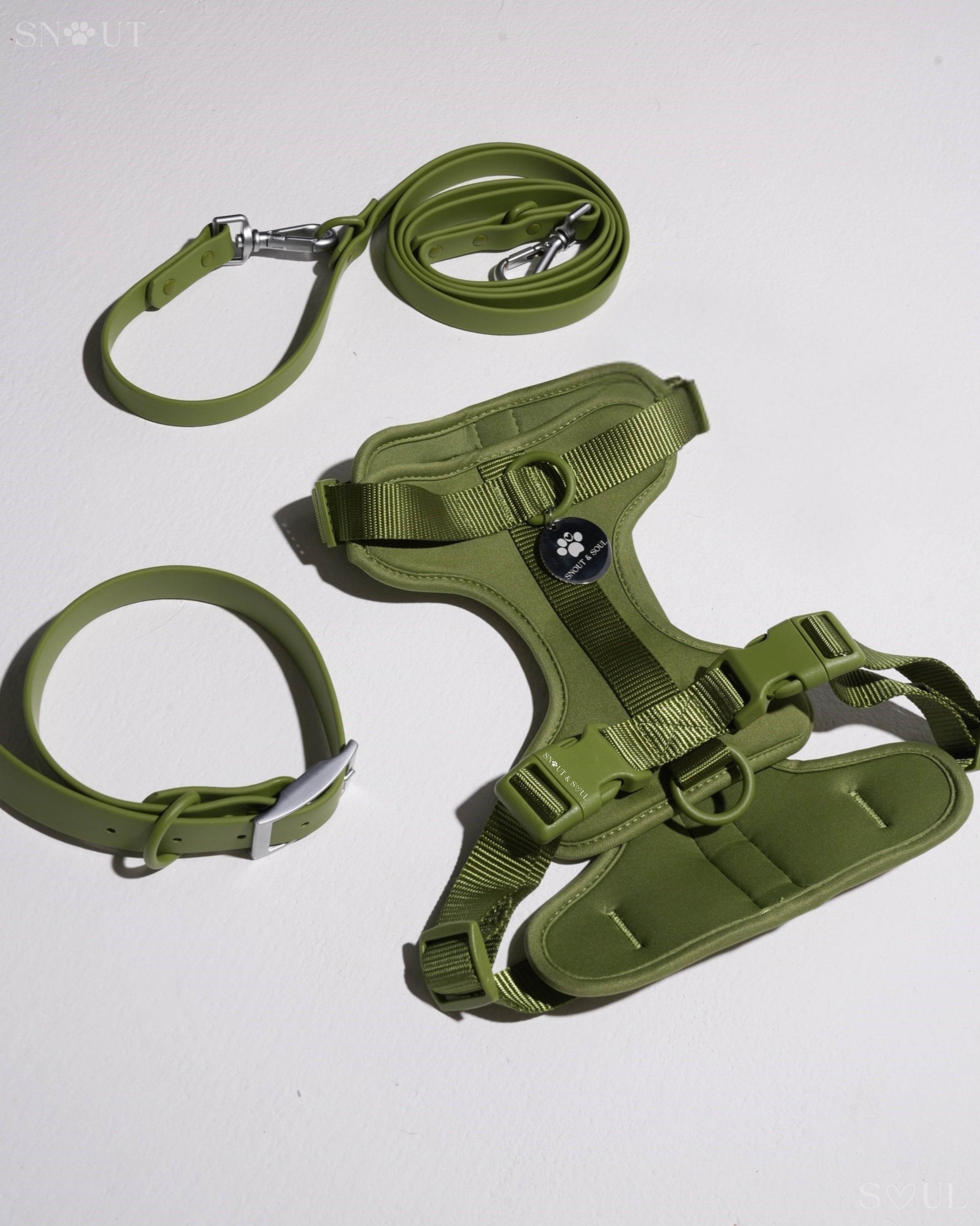 Harness Walk Set