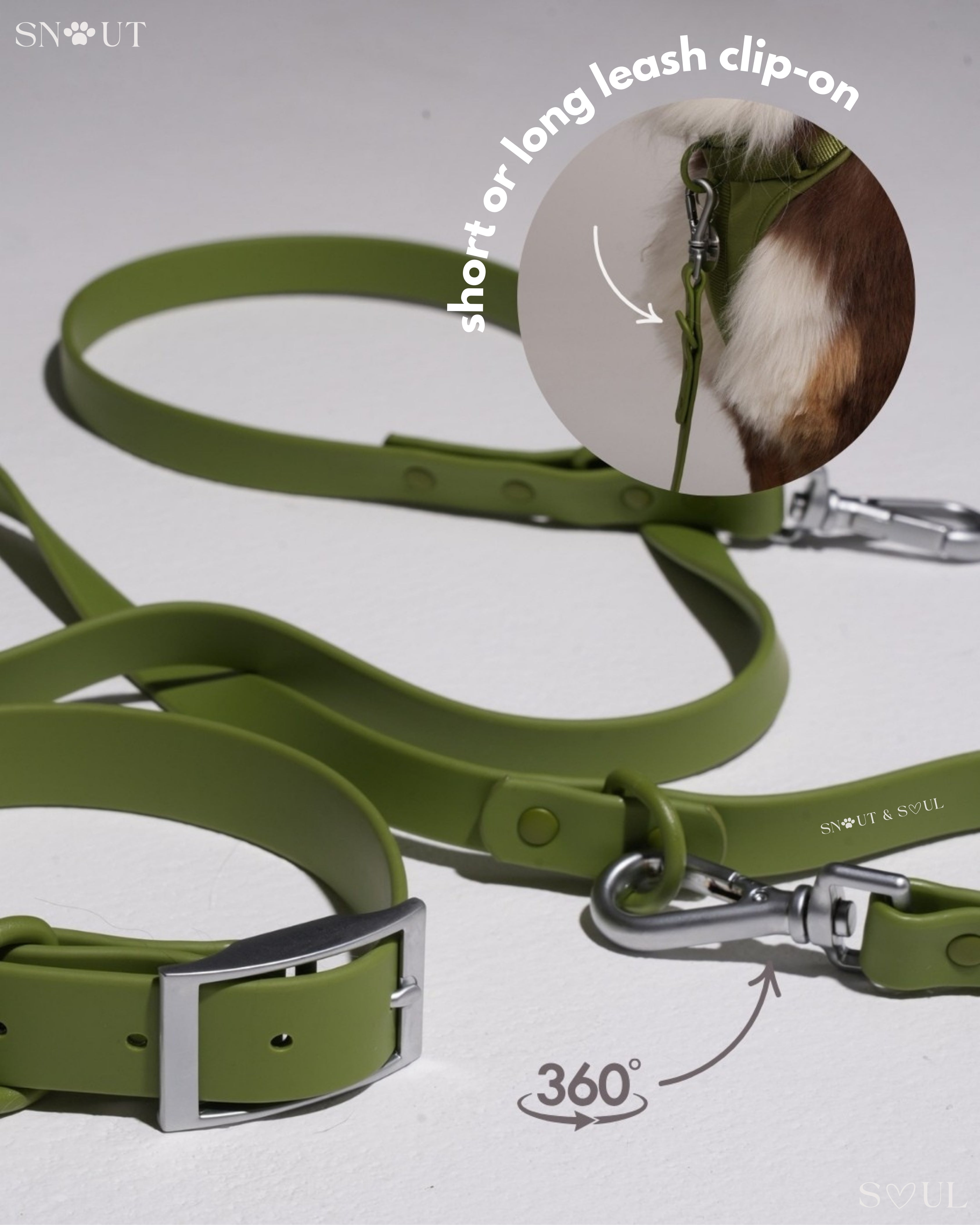Collar Walk Set