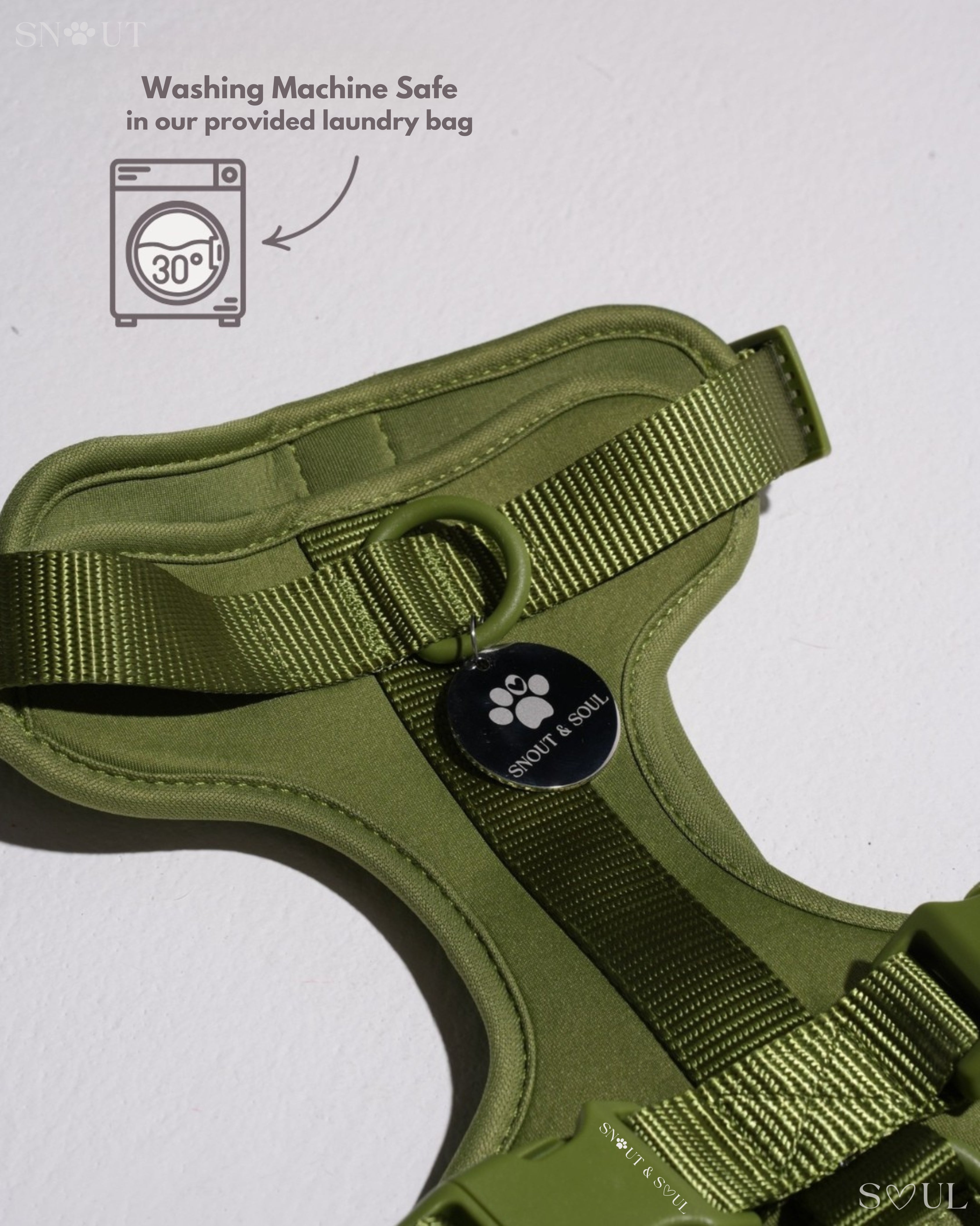 Harness