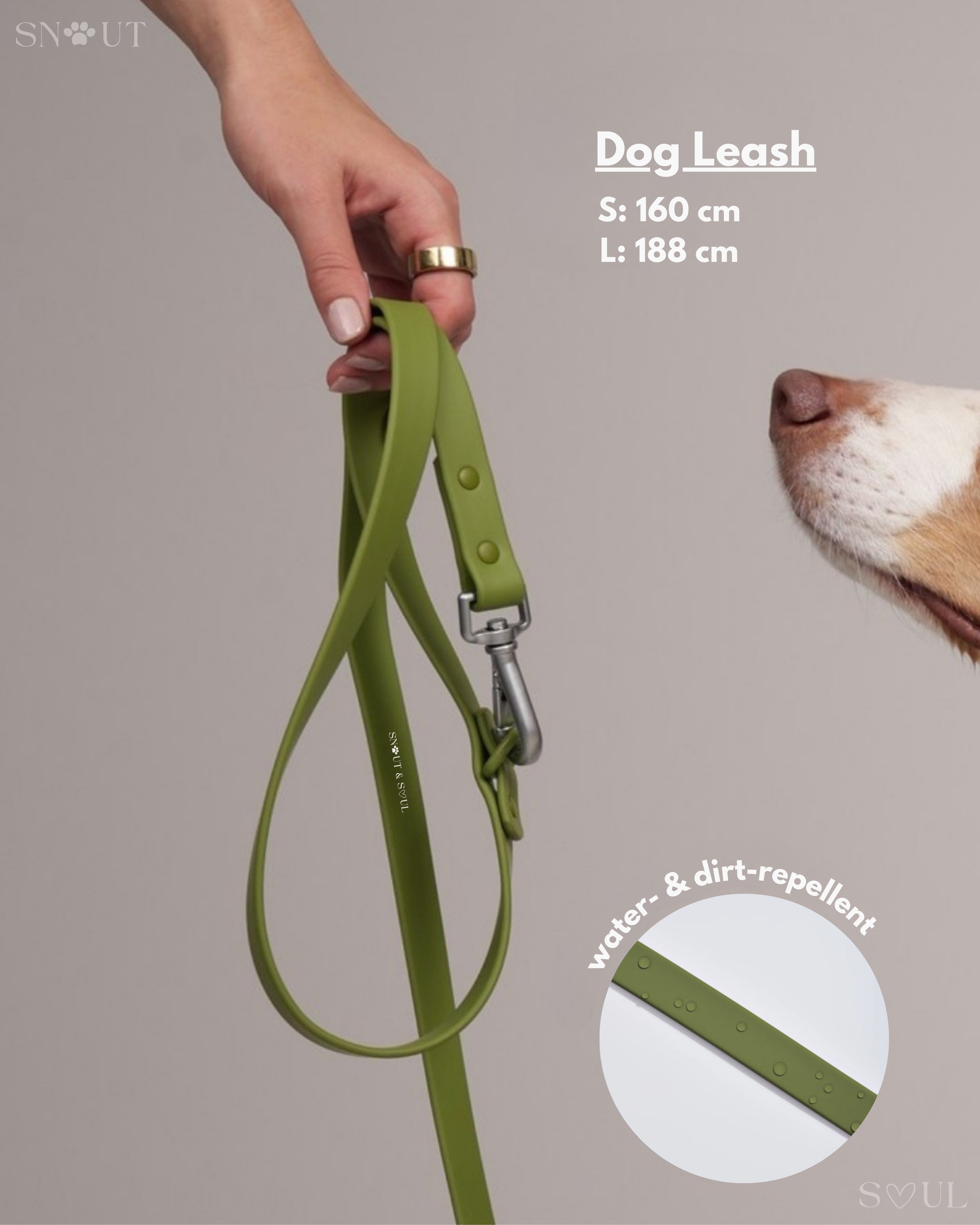 Collar Walk Set
