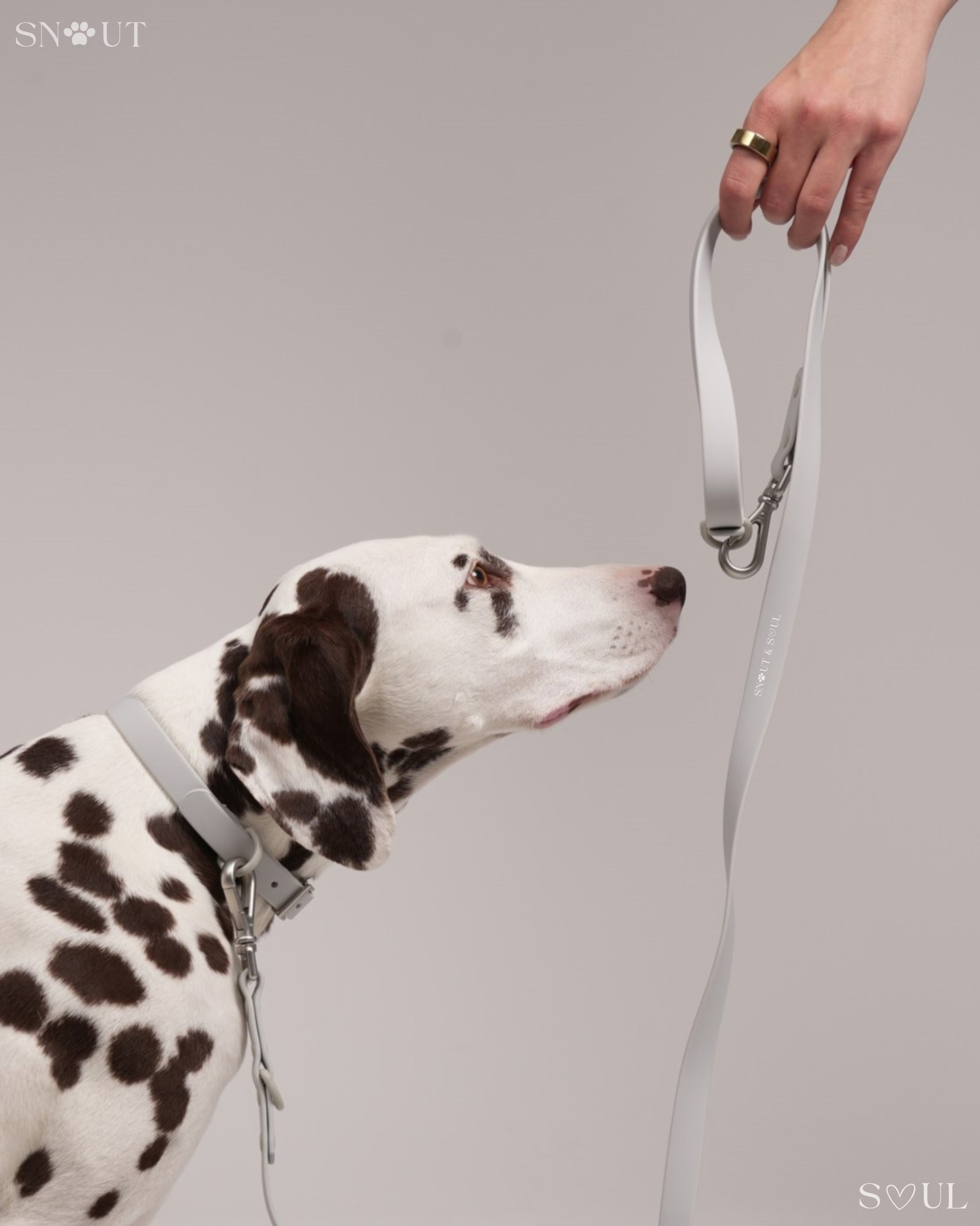 Collar Walk Set