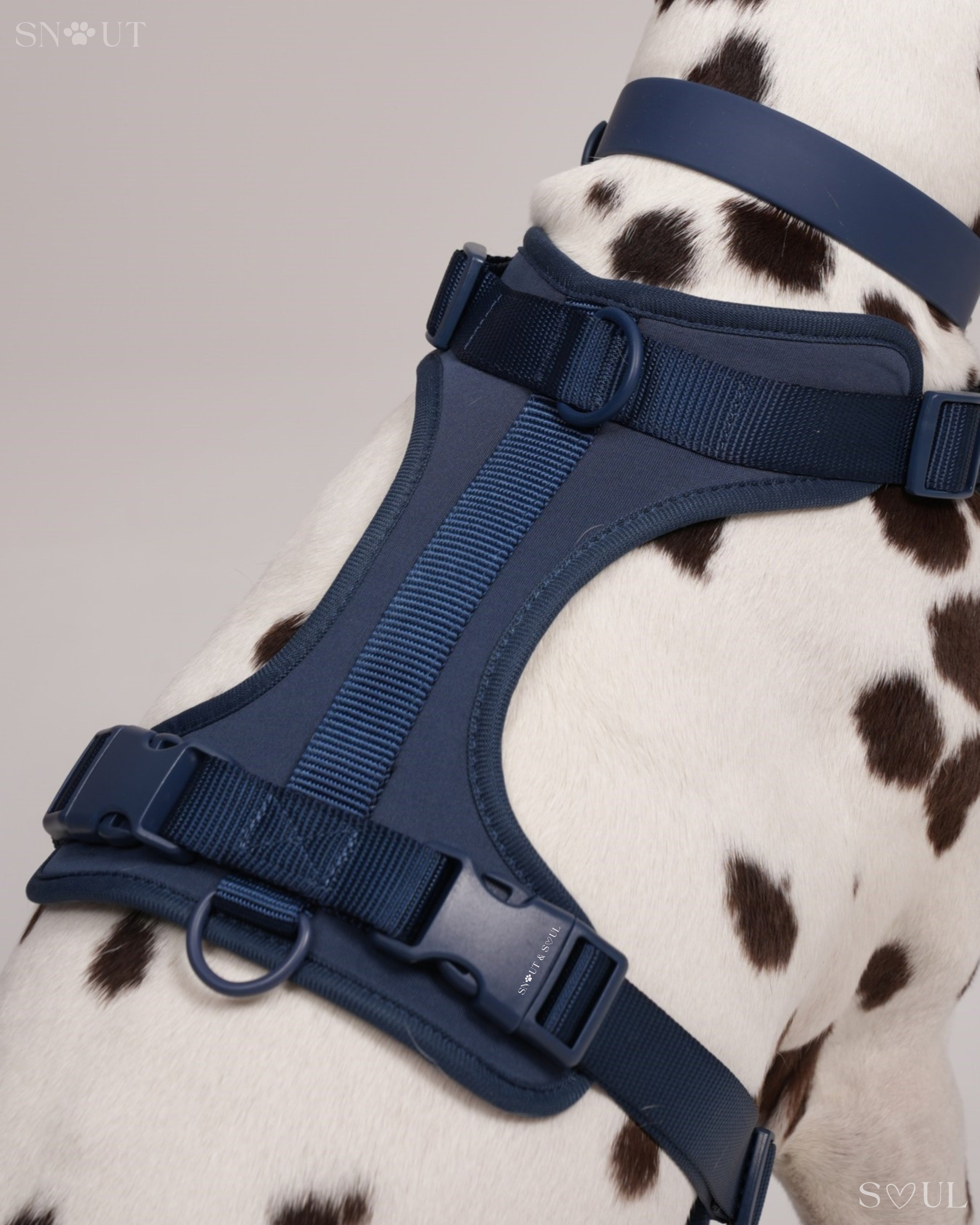 Harness Walk & Play Set