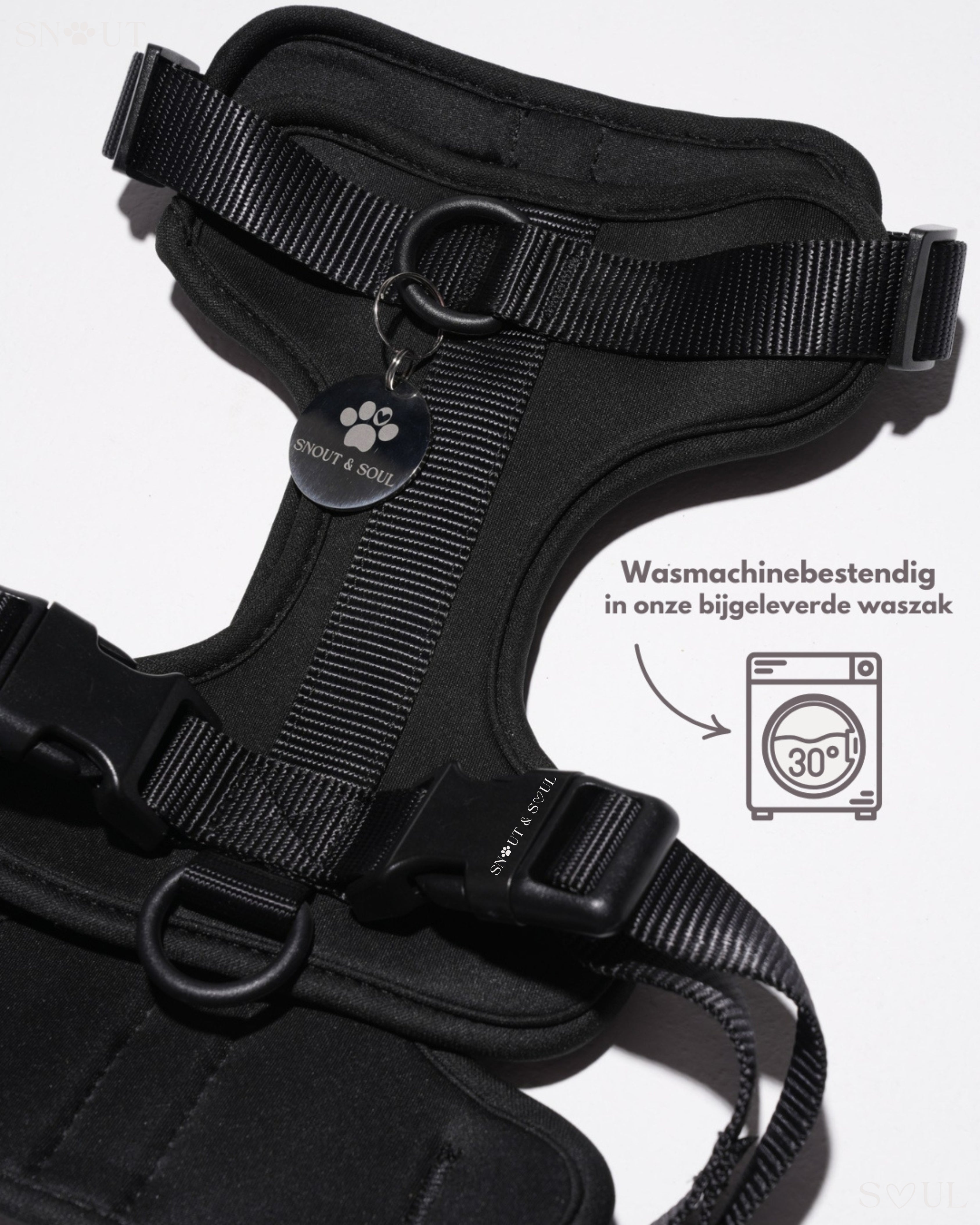 Harness