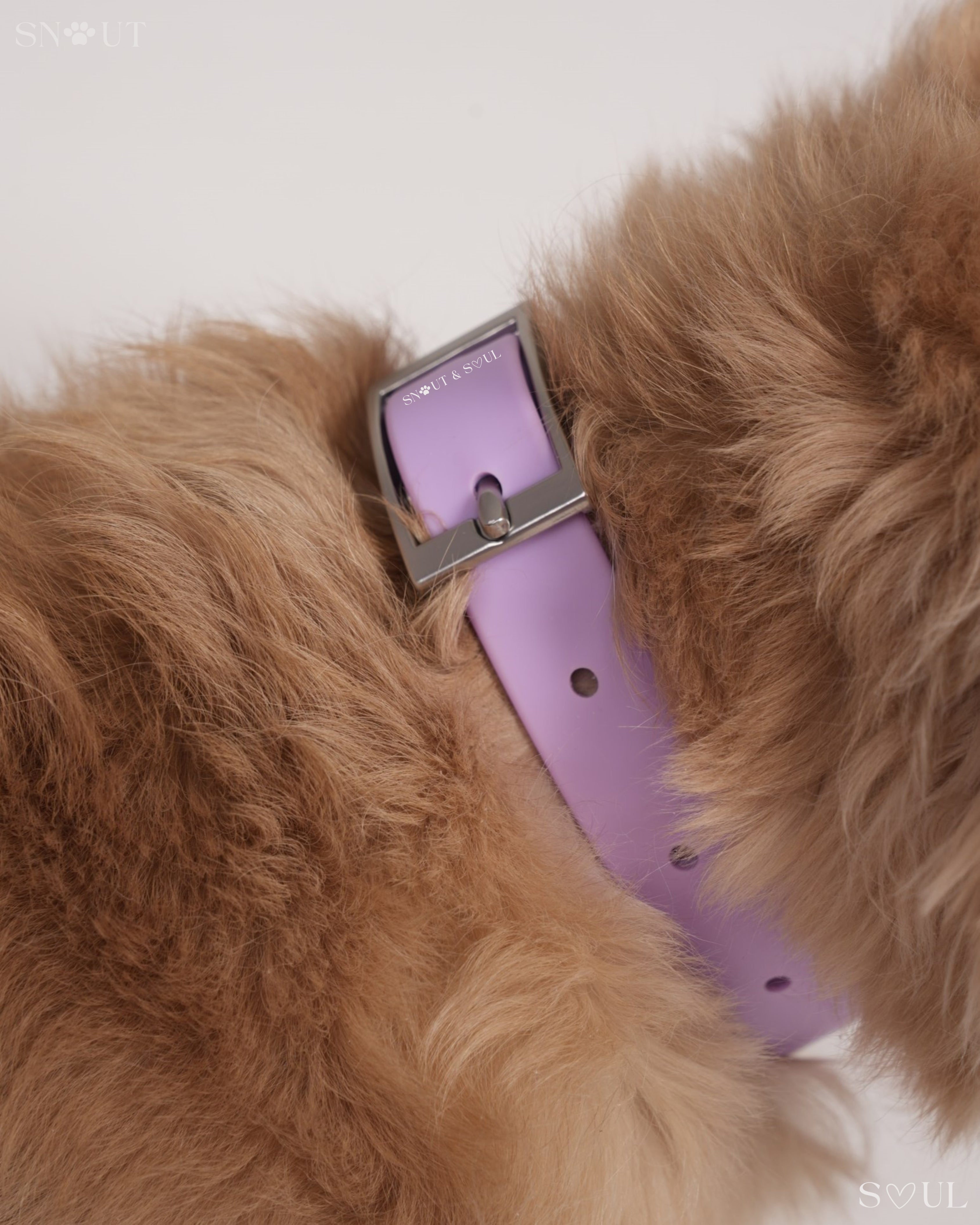 Harness Walk & Play Set
