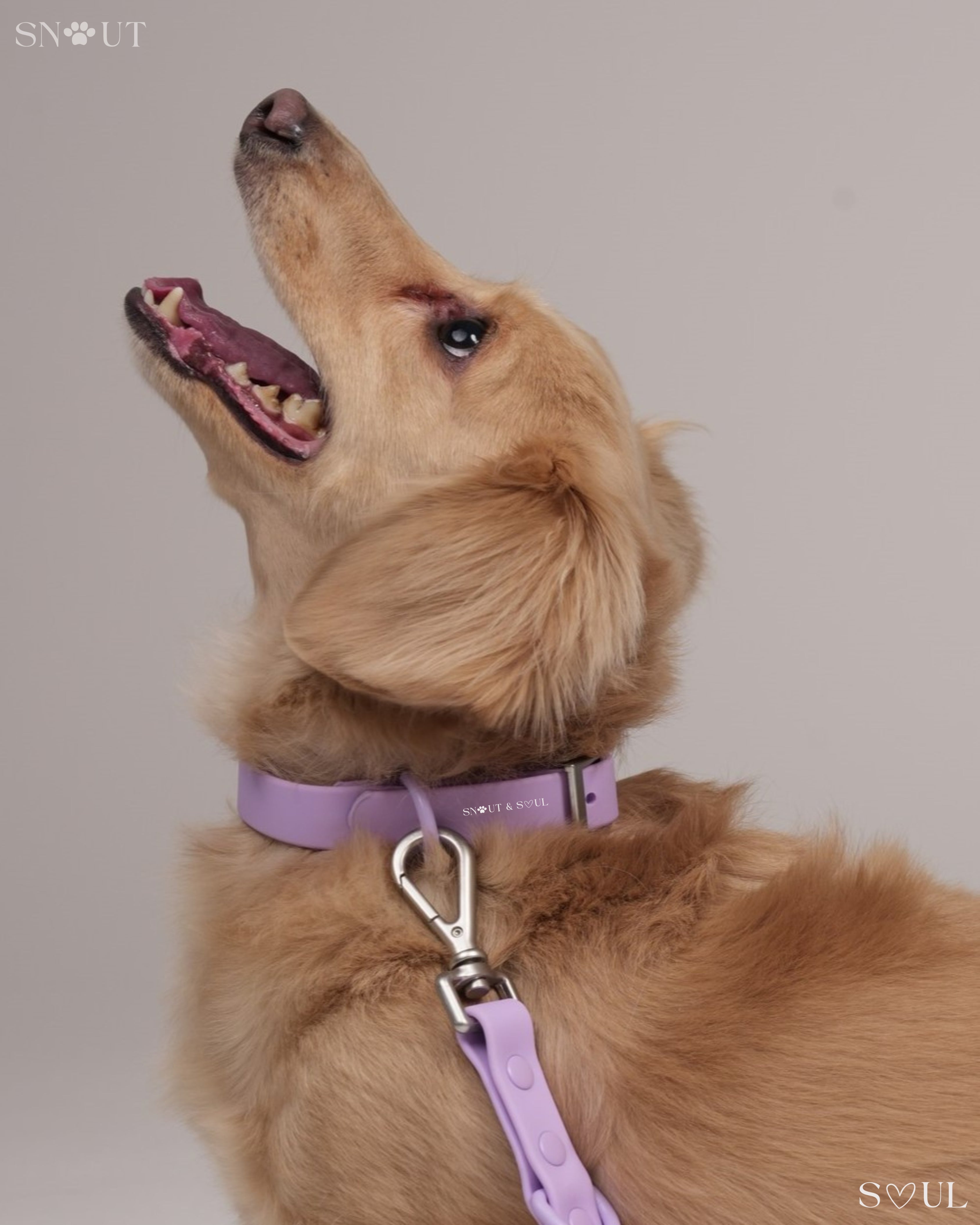 Collar