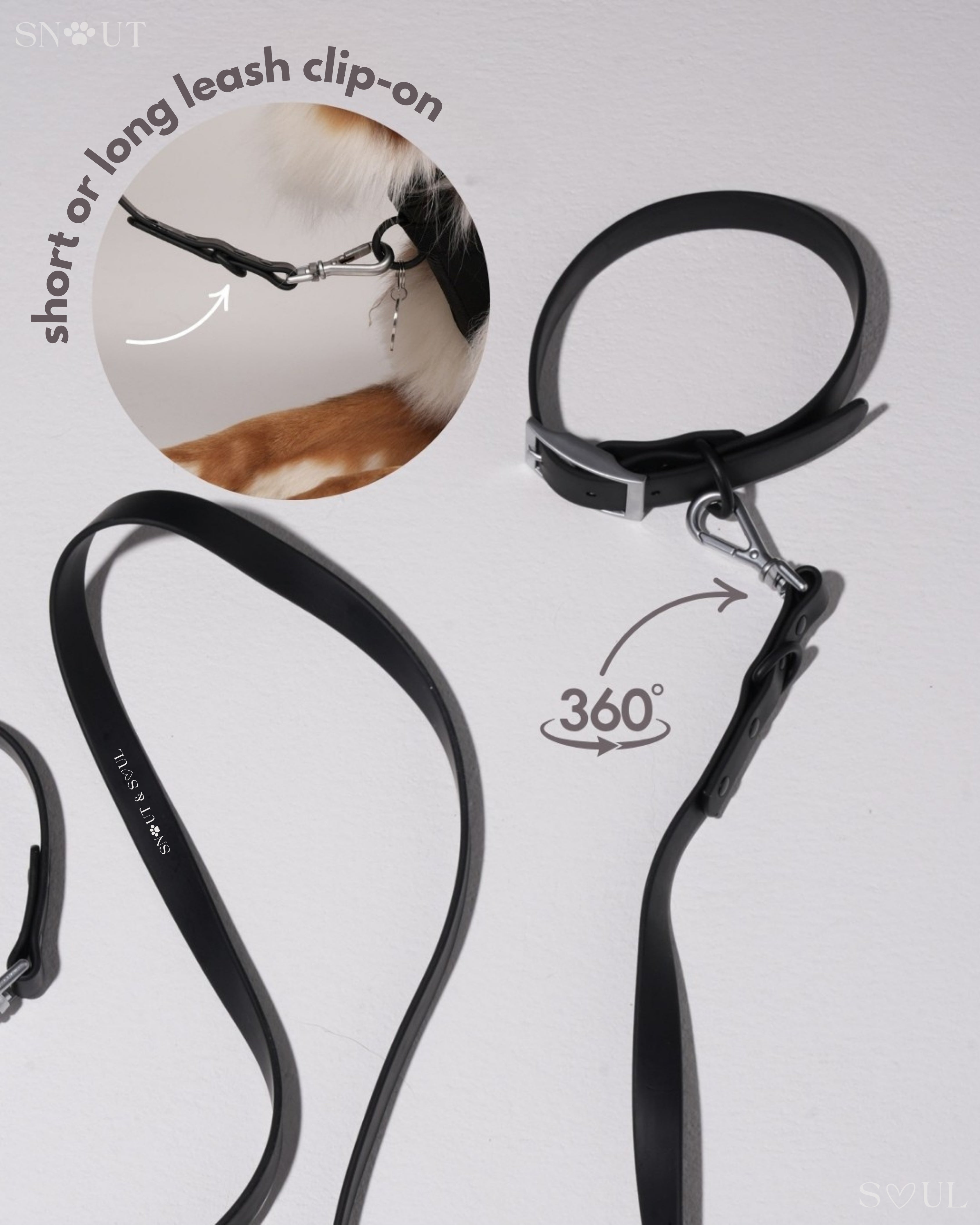 Collar Walk Set