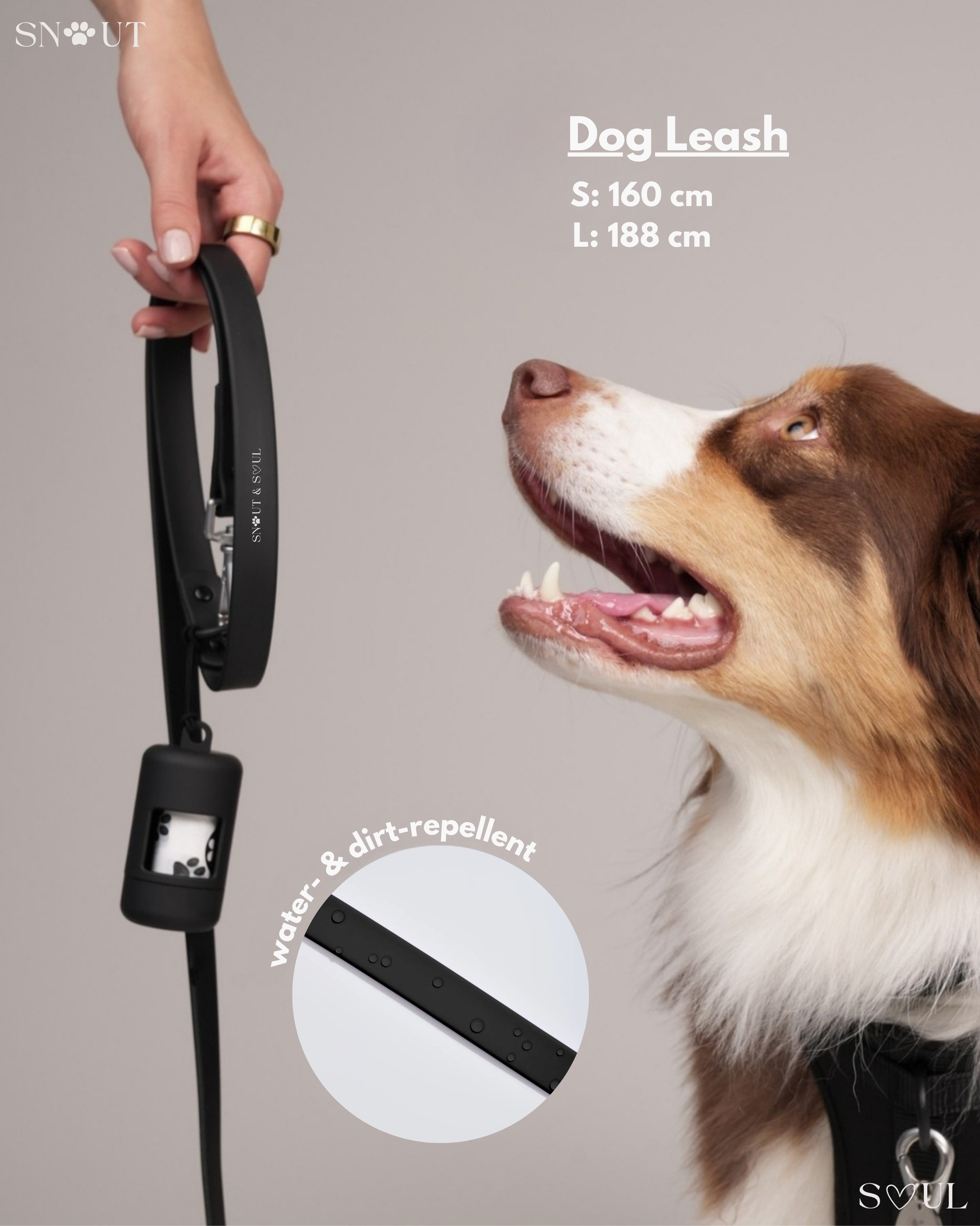 Collar Walk Set