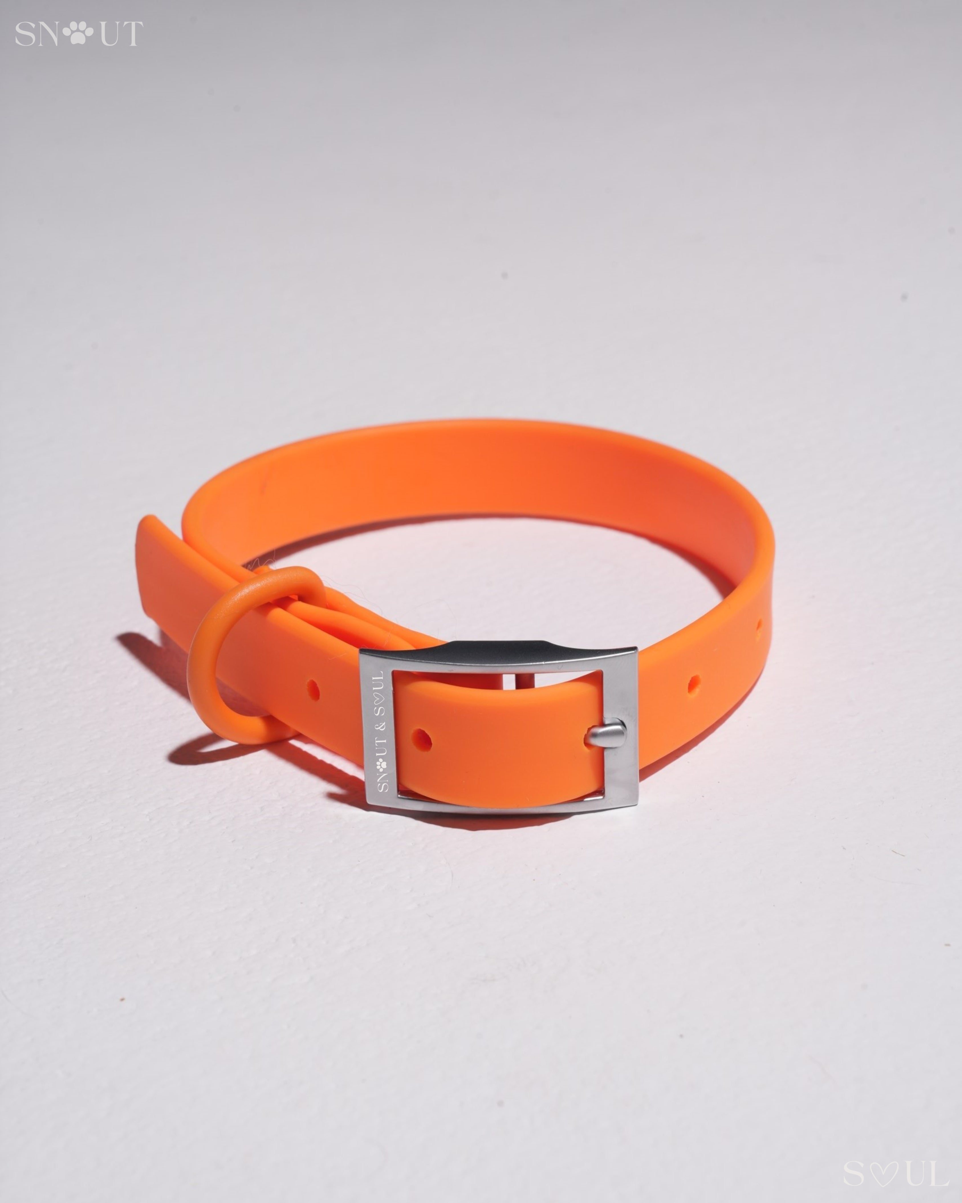 Collar Walk Set
