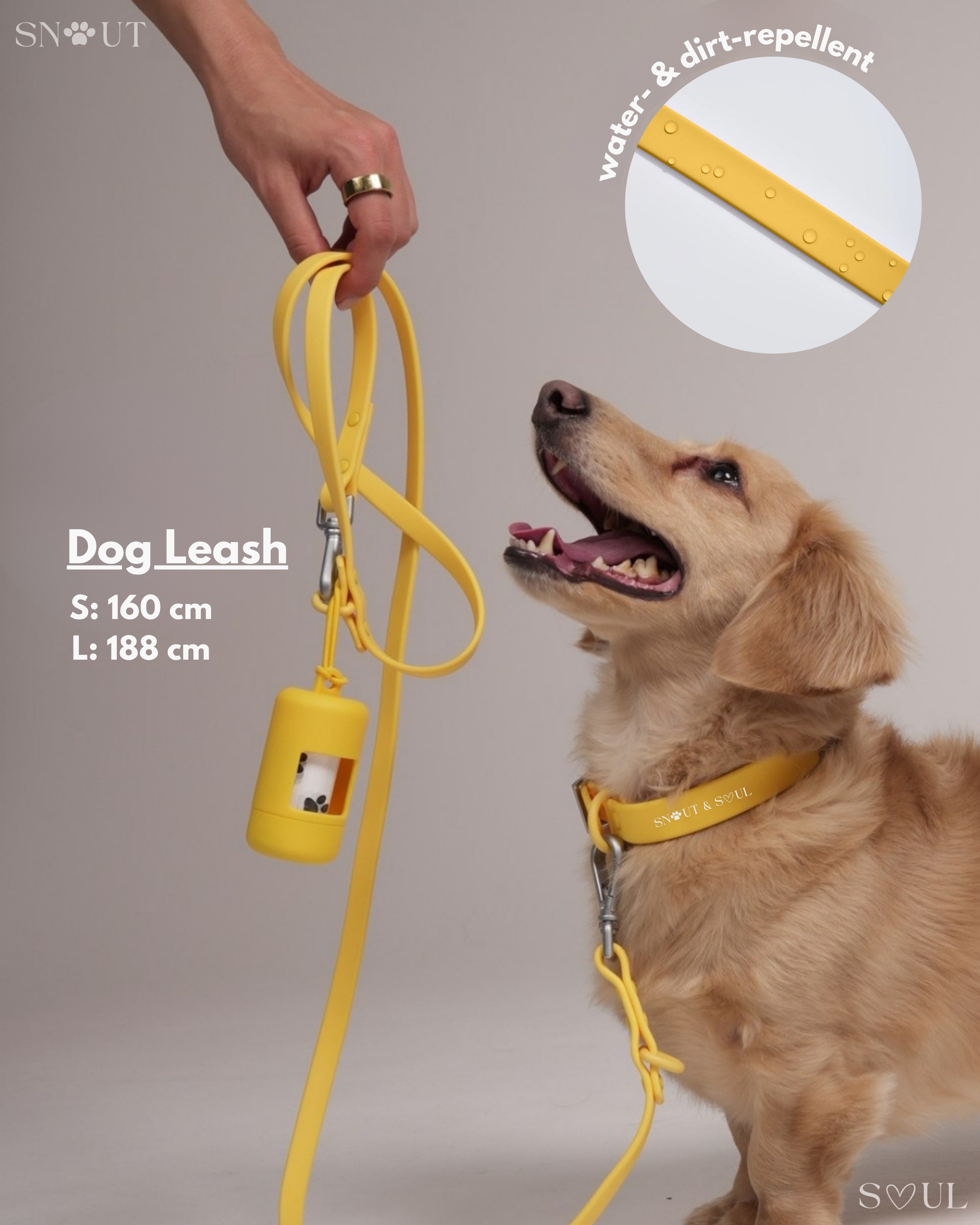 Harness Walk Set