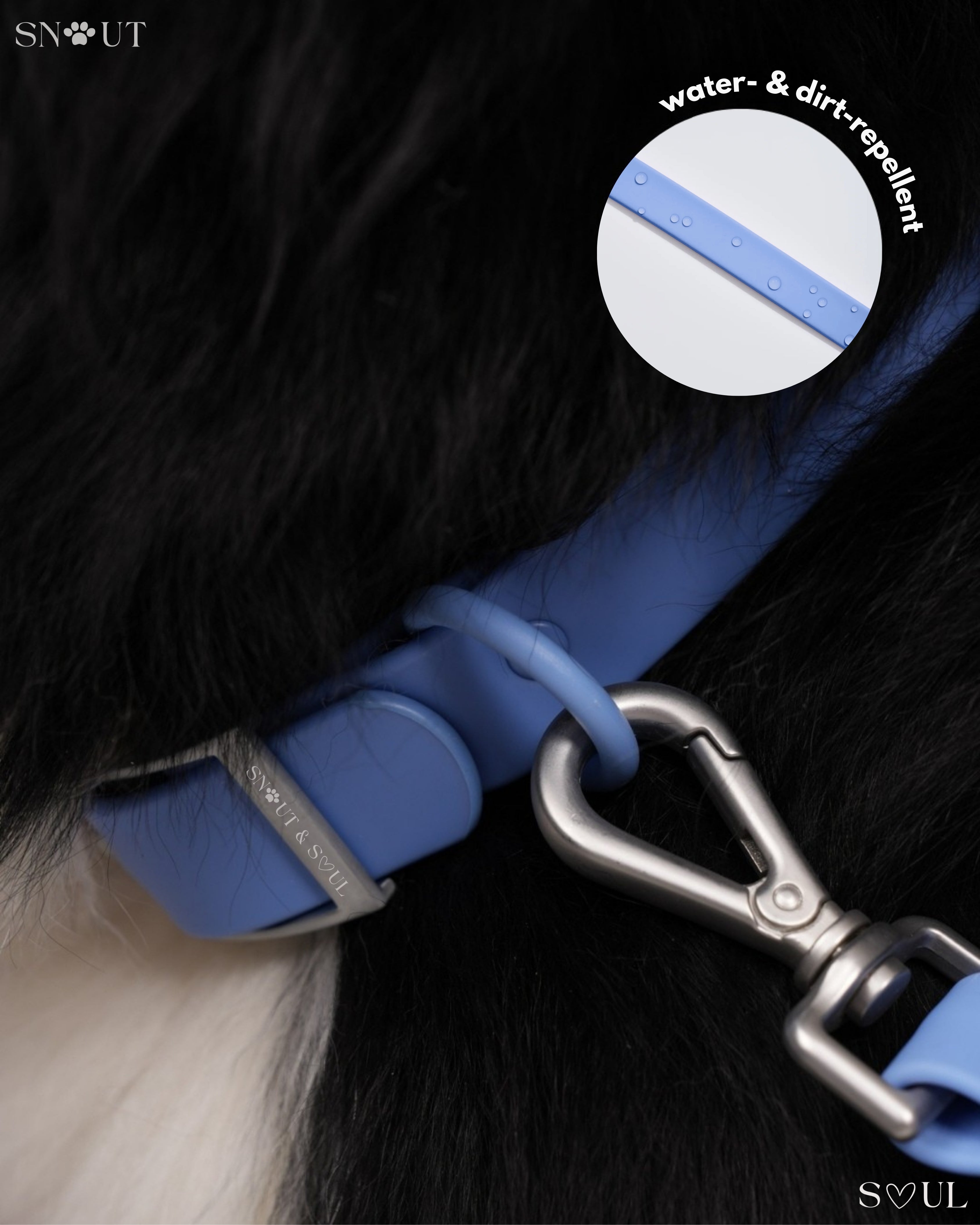 Collar
