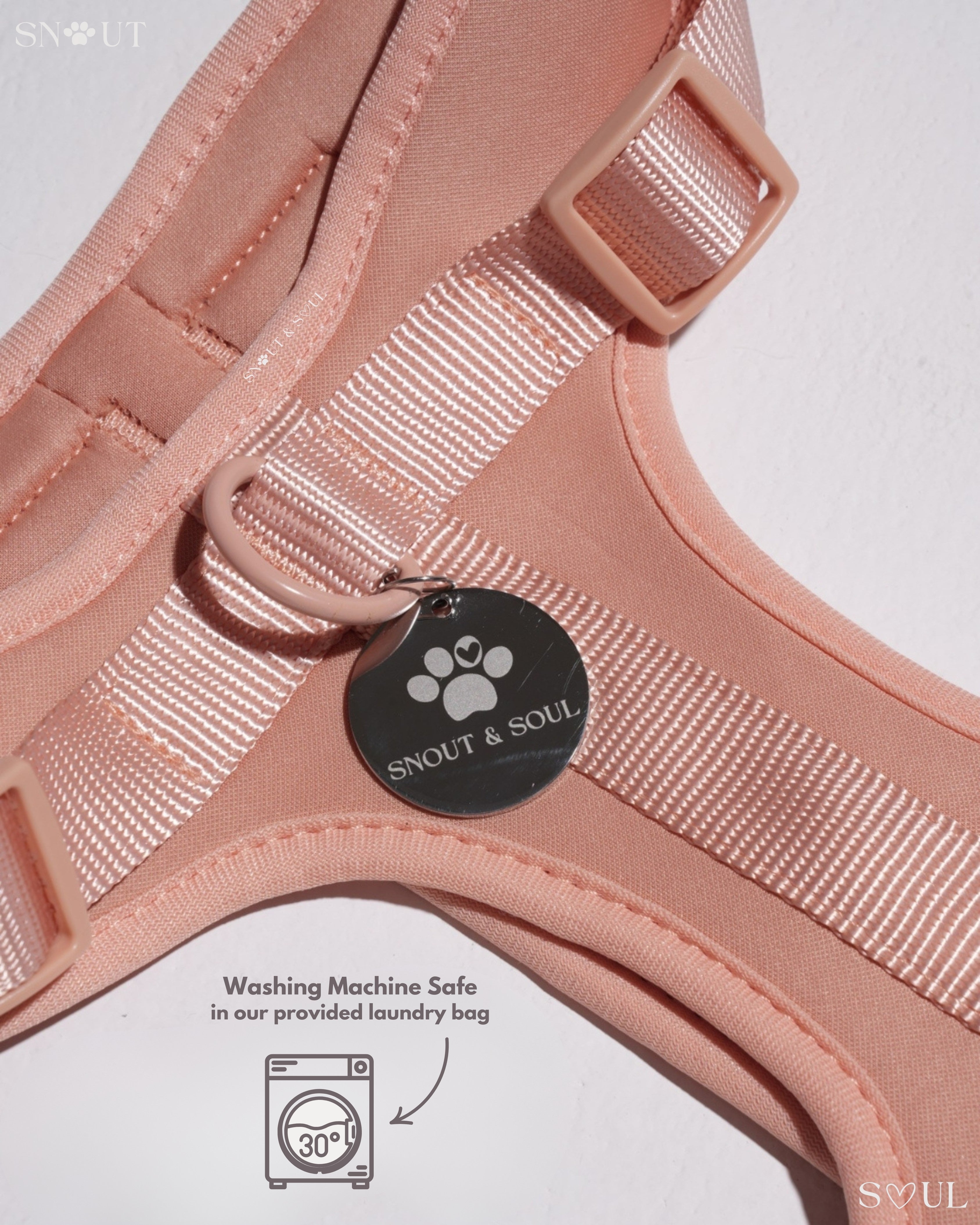 Harness