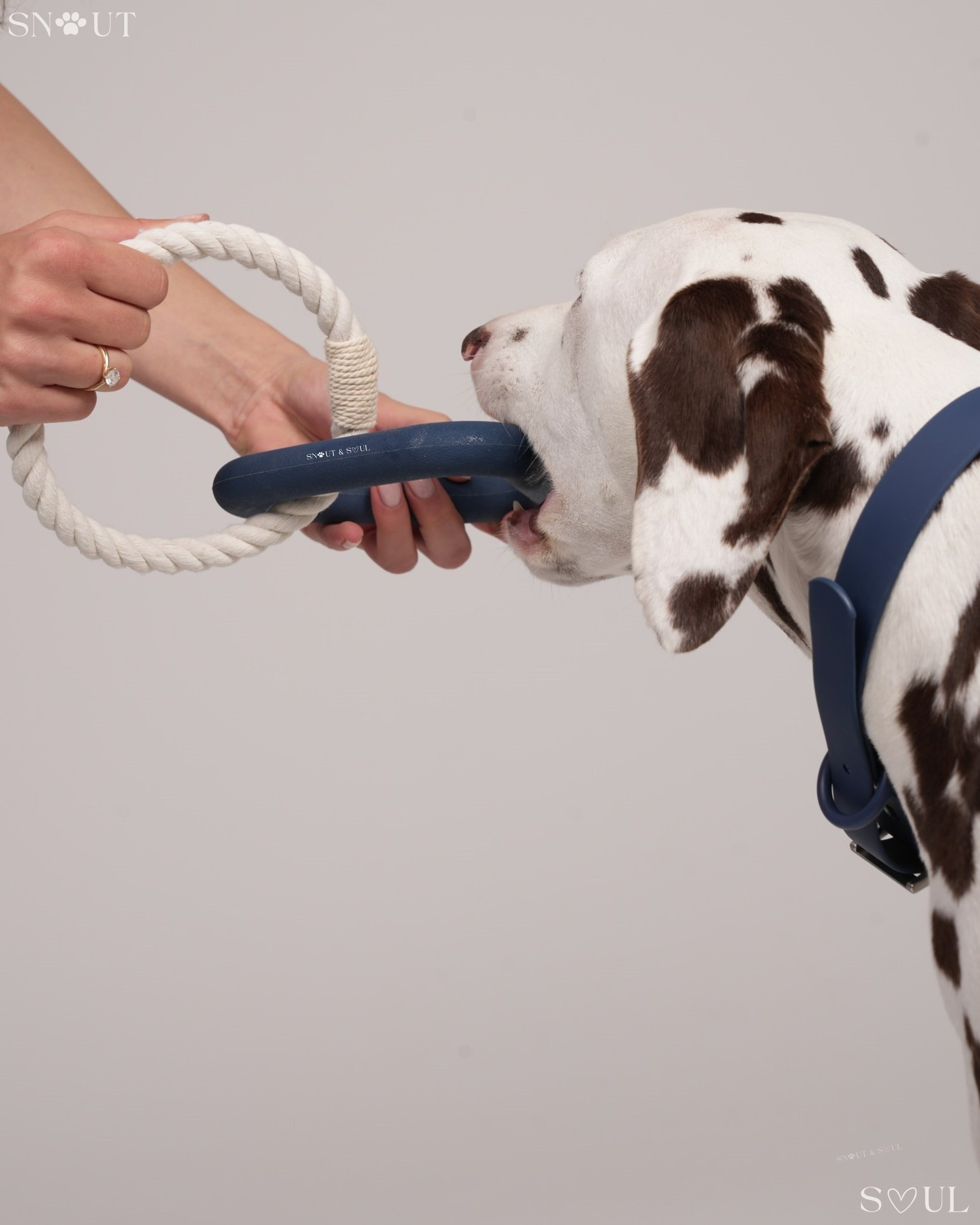Triangle Tug Toy