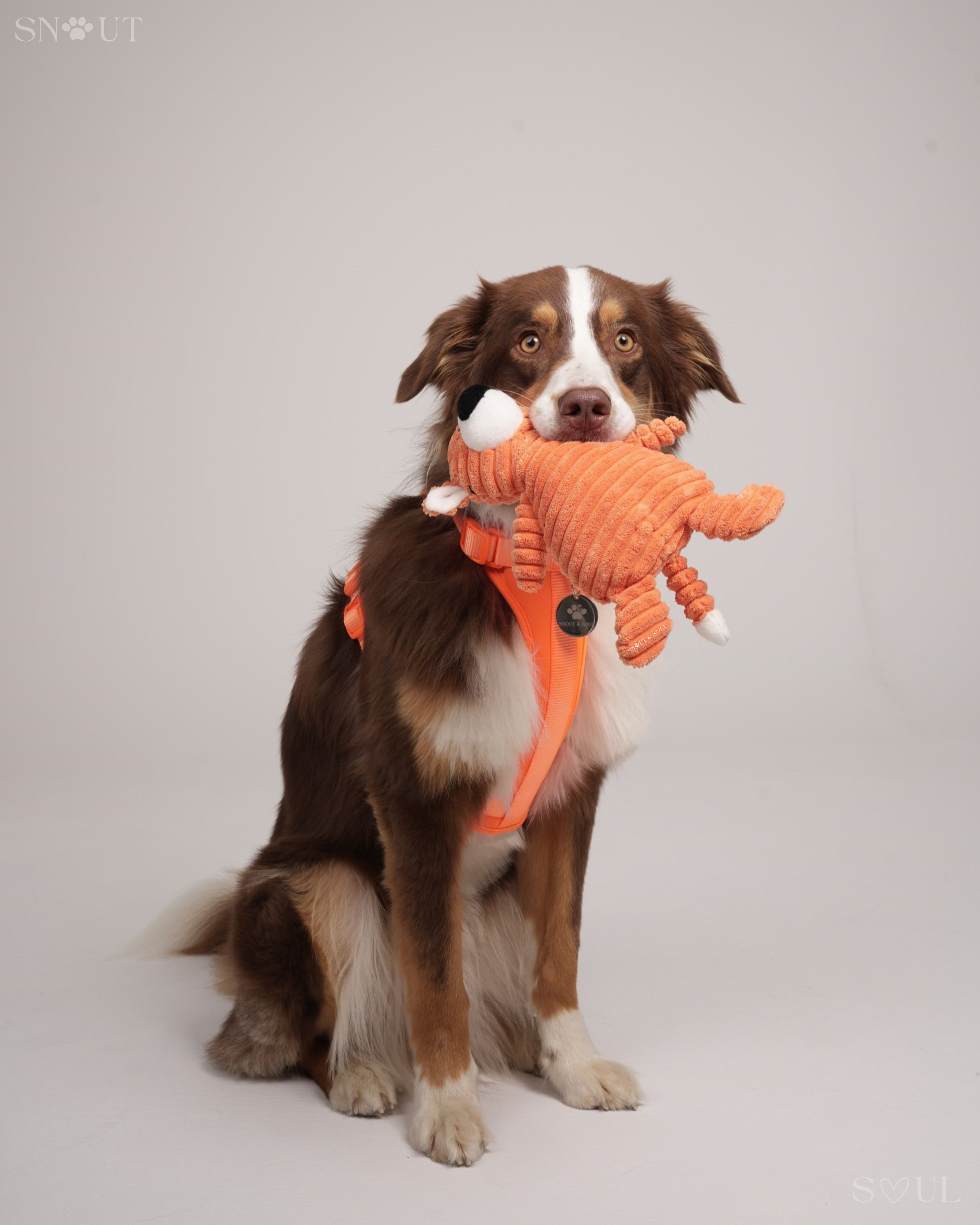 Cuddle Toy
