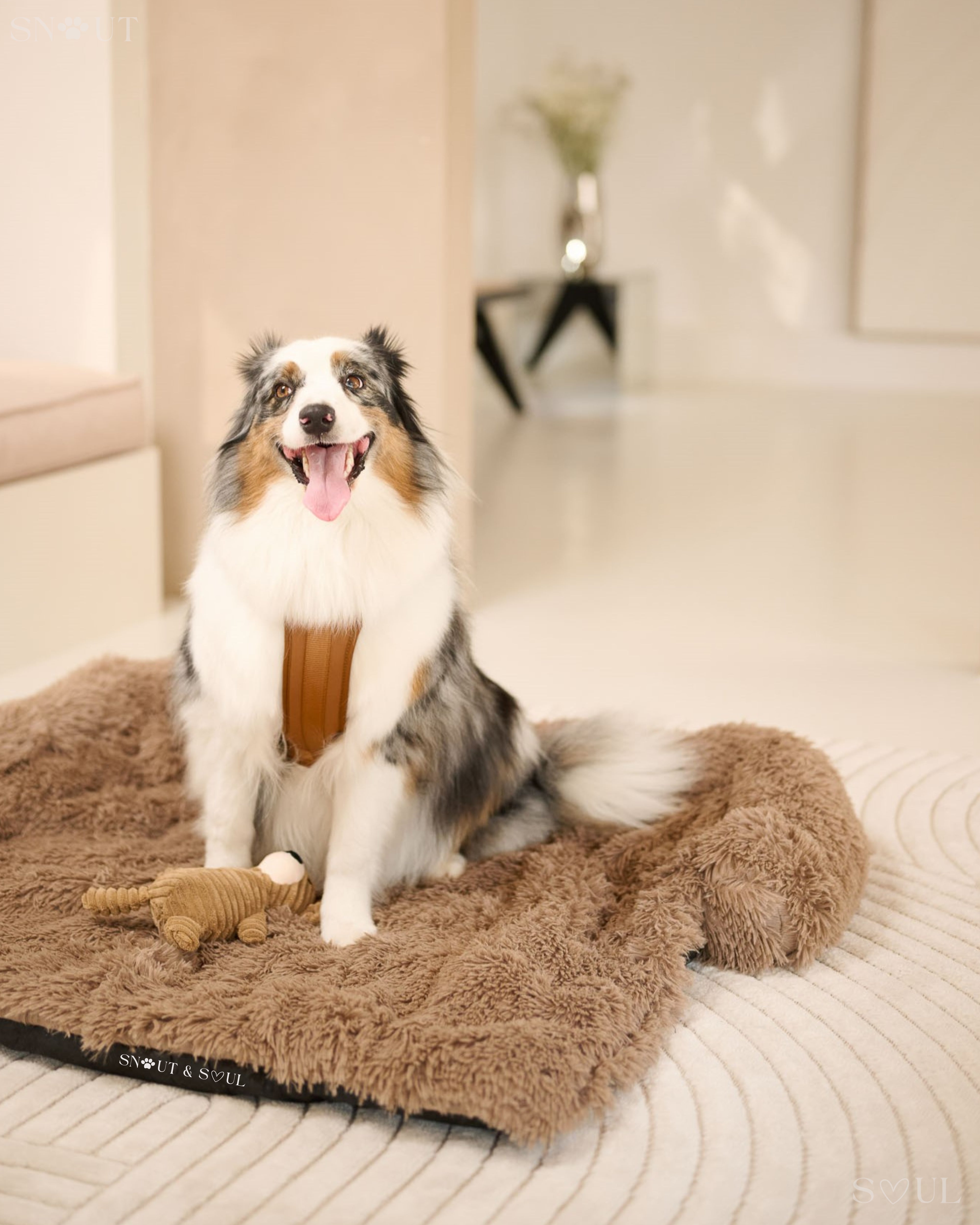 Soft Luxury Sofa Blanket