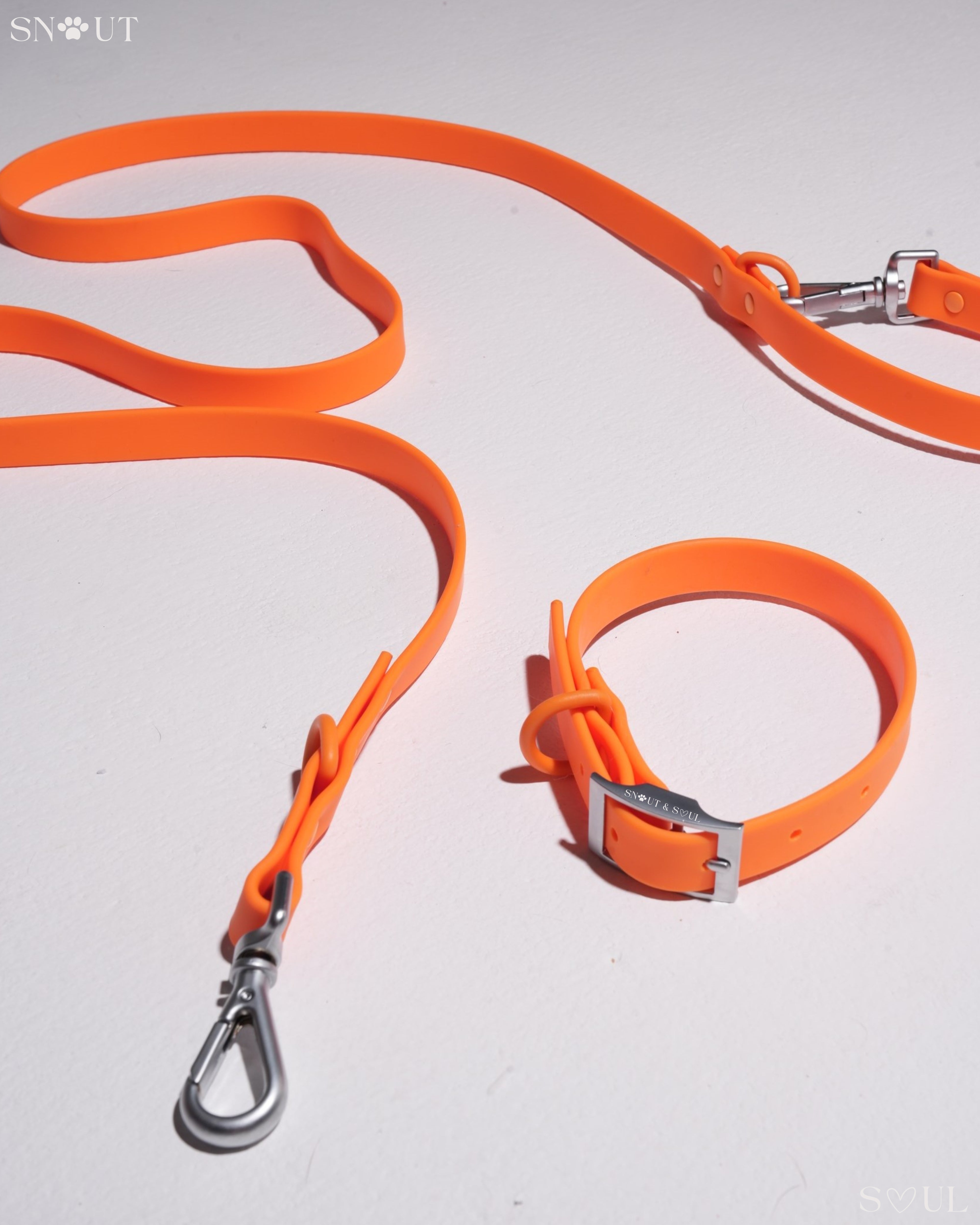Collar Walk Set