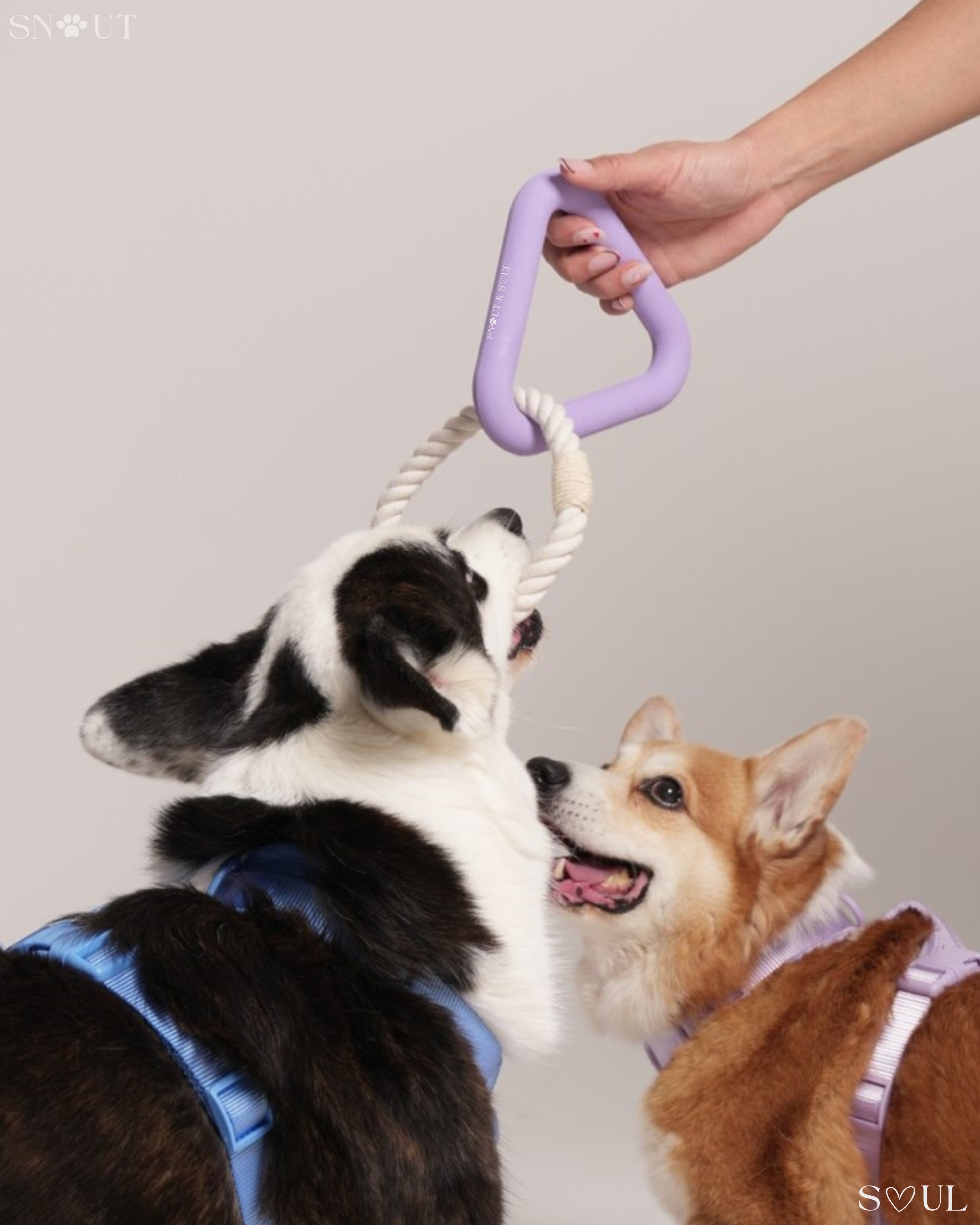 Triangle Tug Toy