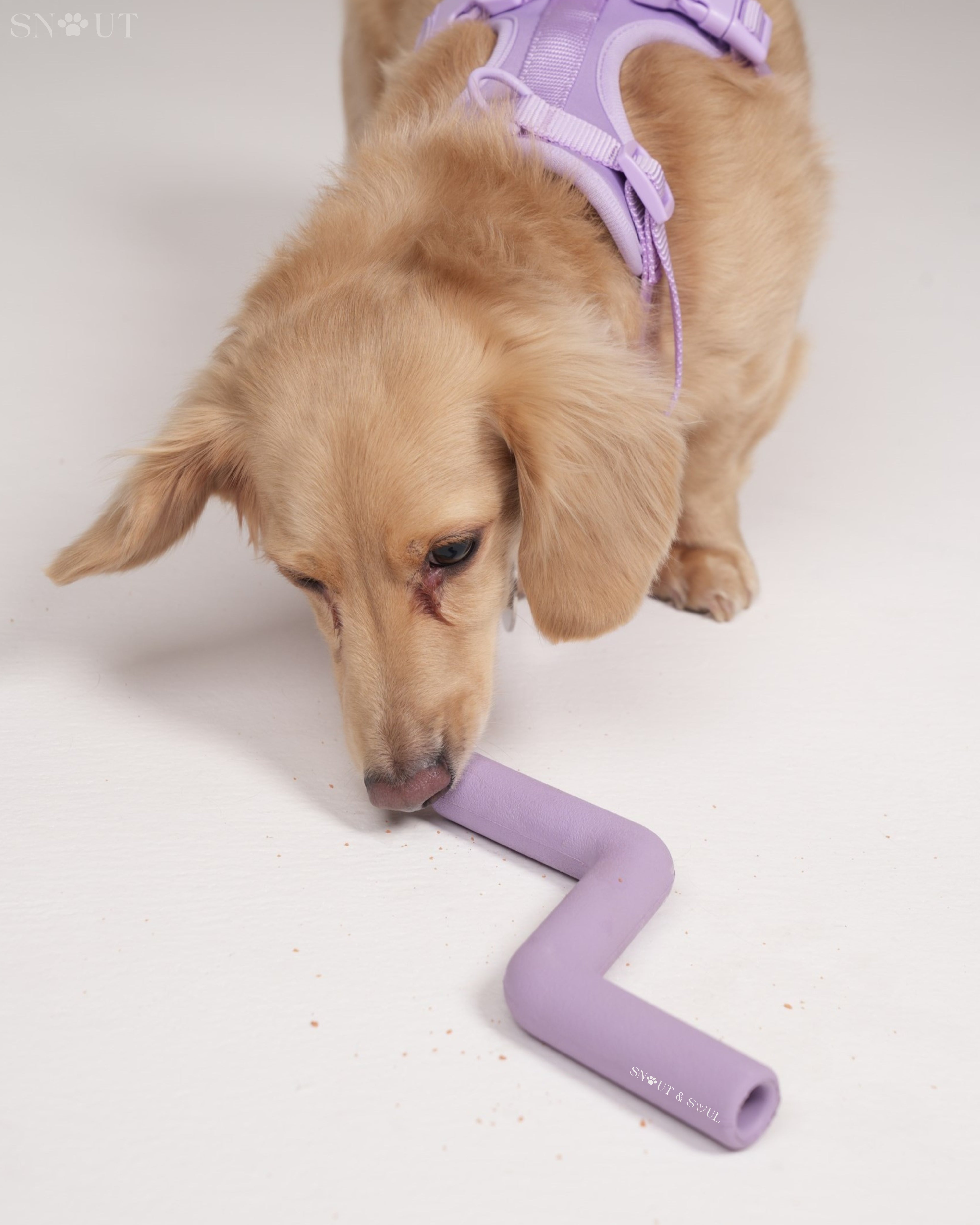 Zigzag Tube
