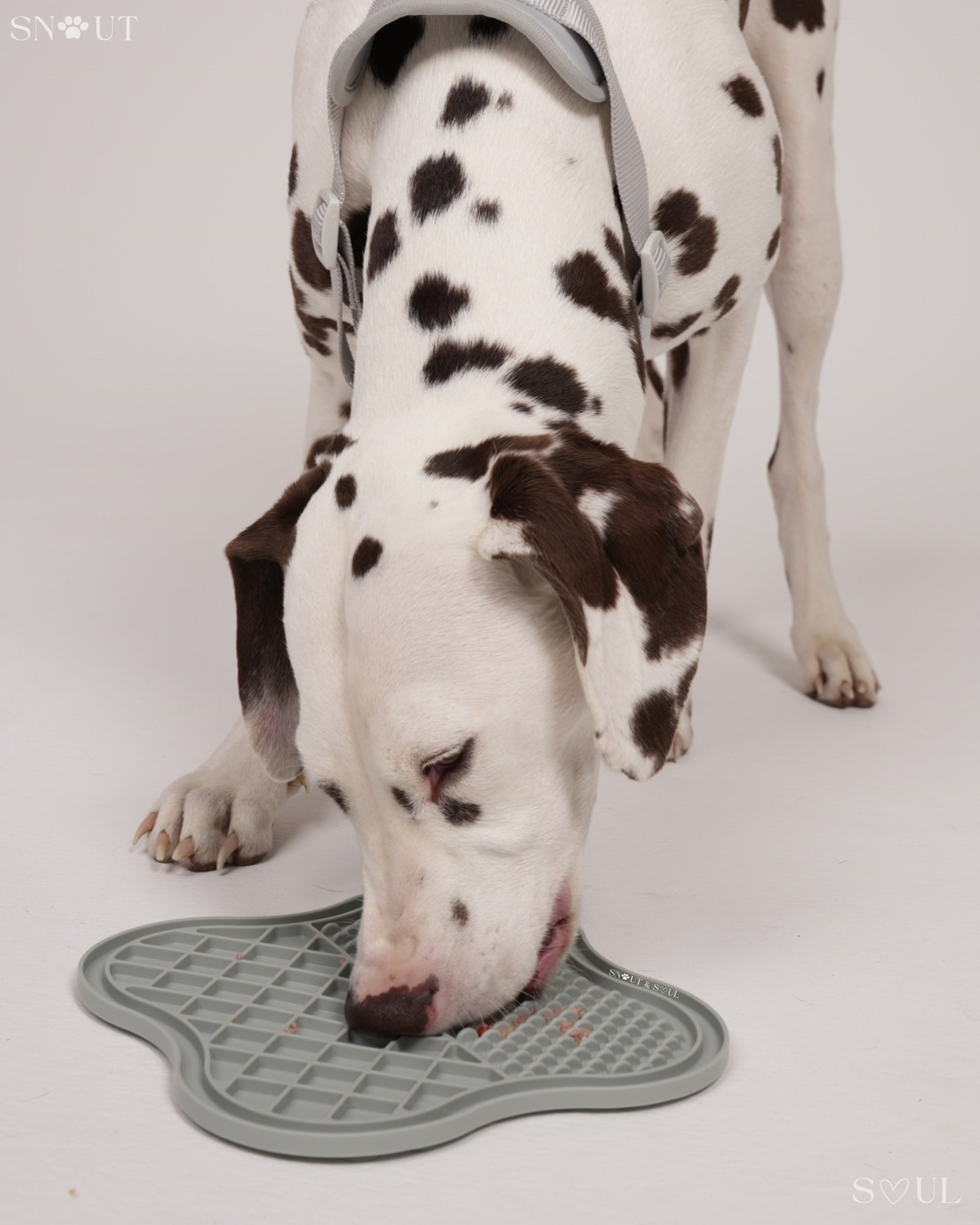 Lick Mat