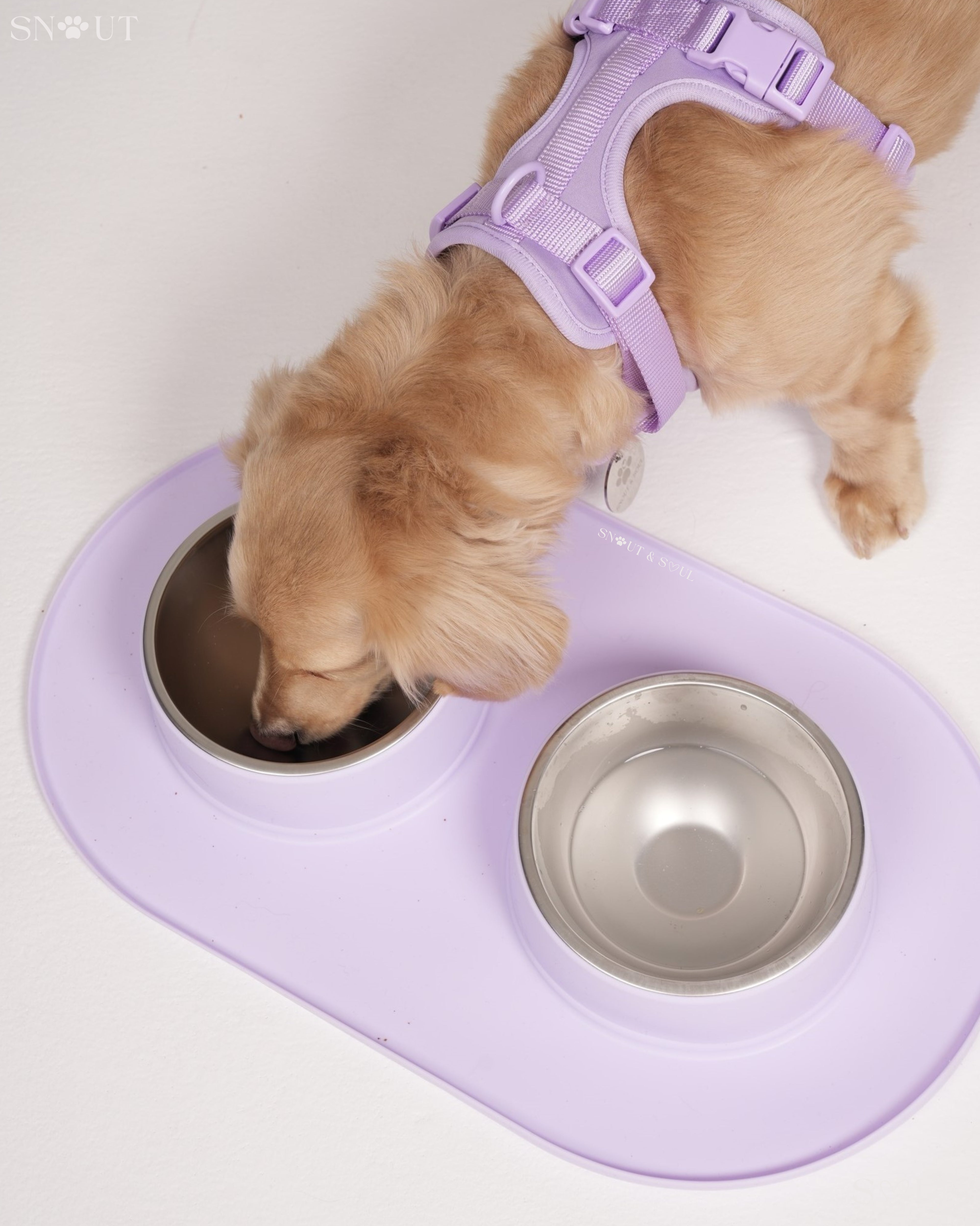 Non-Spill Duo Feeding Bowl