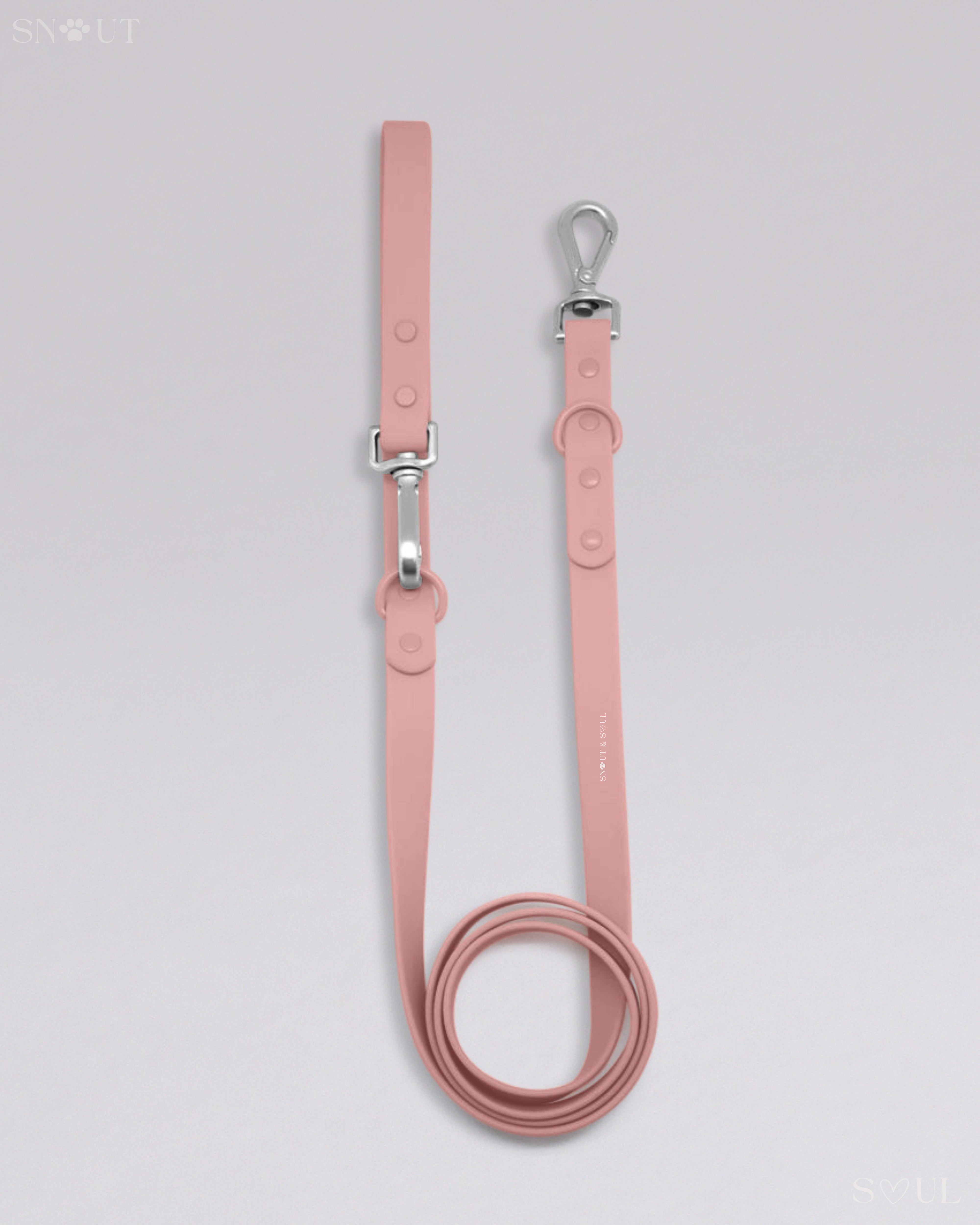 Leash