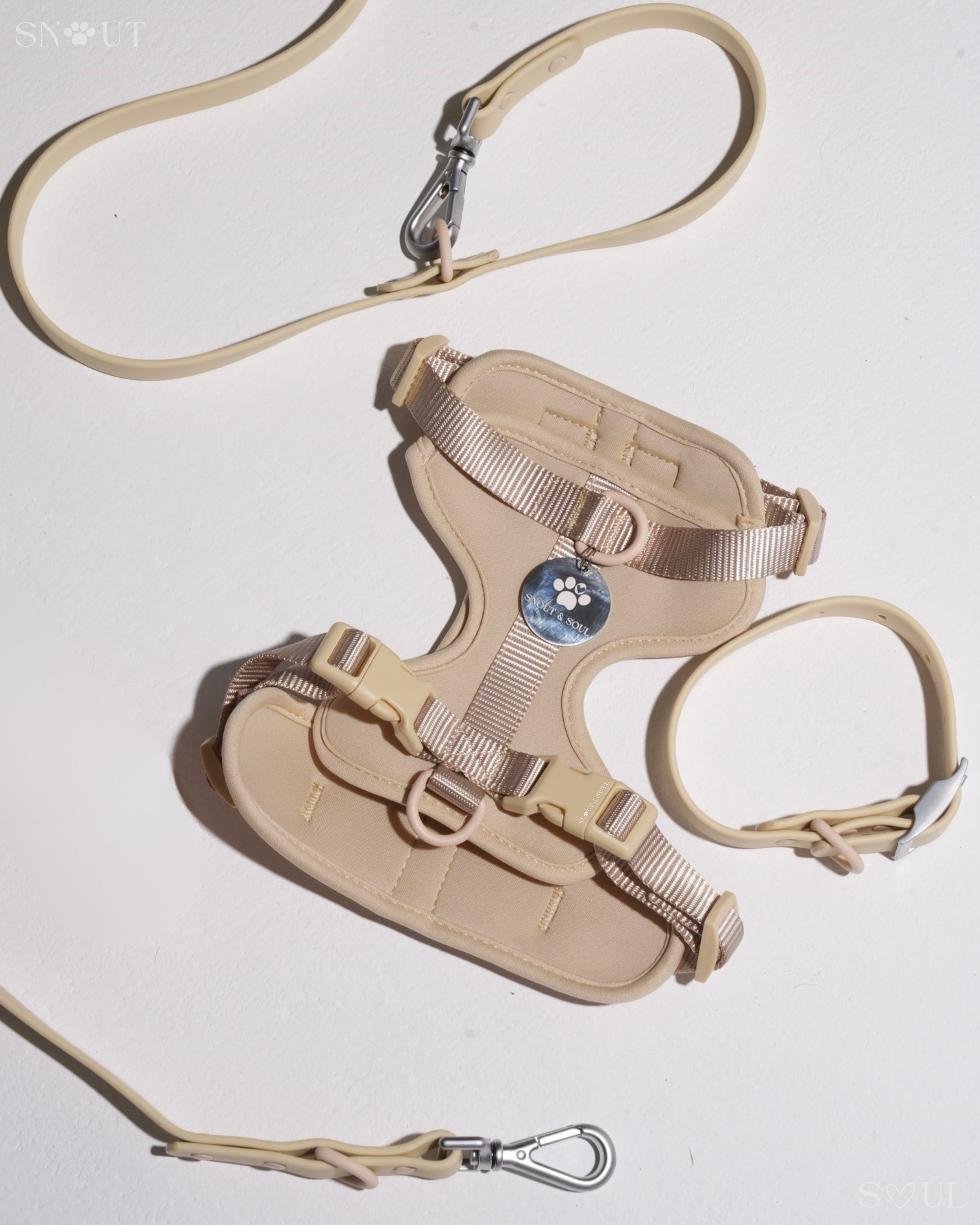Harness Walk Set