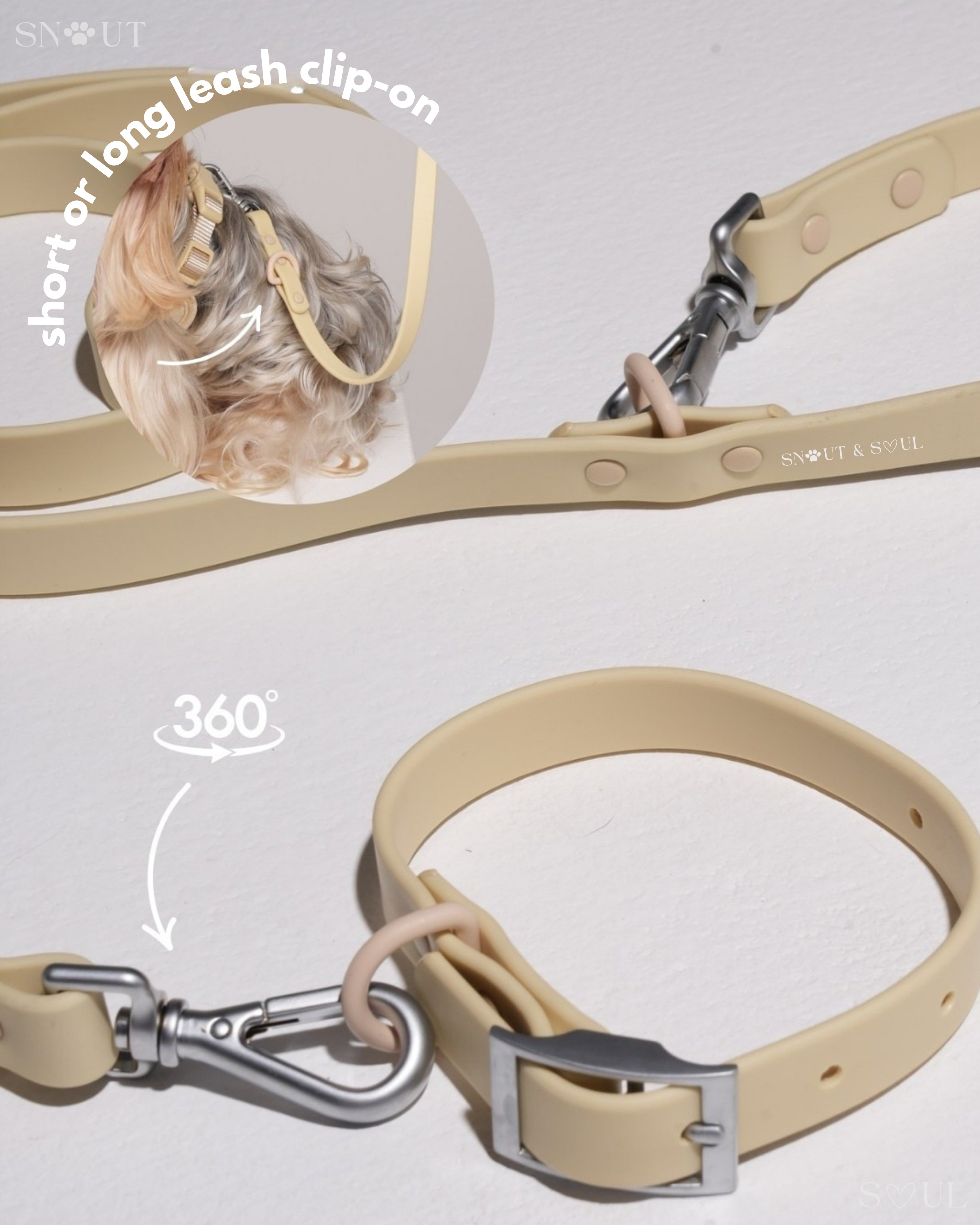 Harness Walk Set