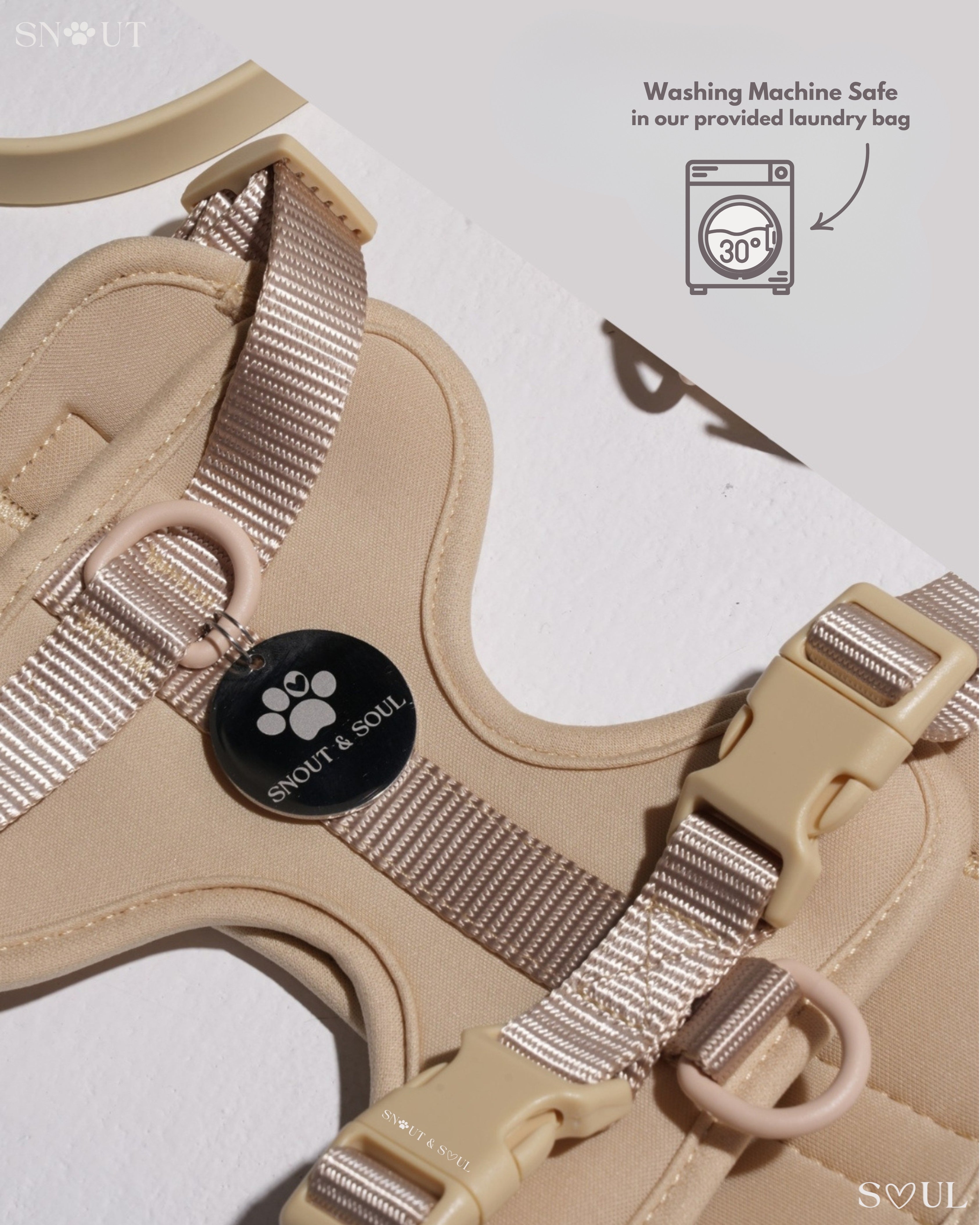 Harness Walk Set
