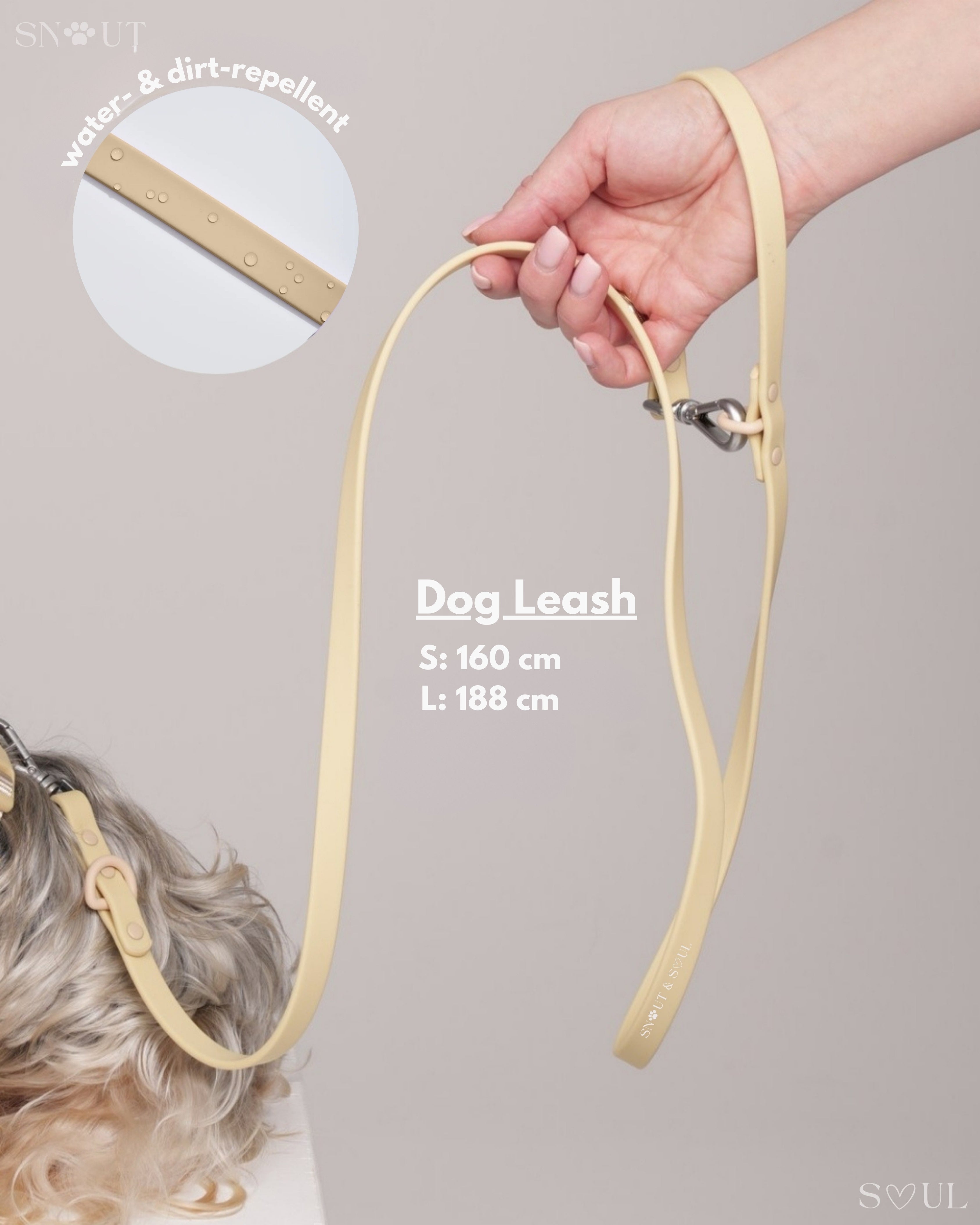 Harness Walk Set