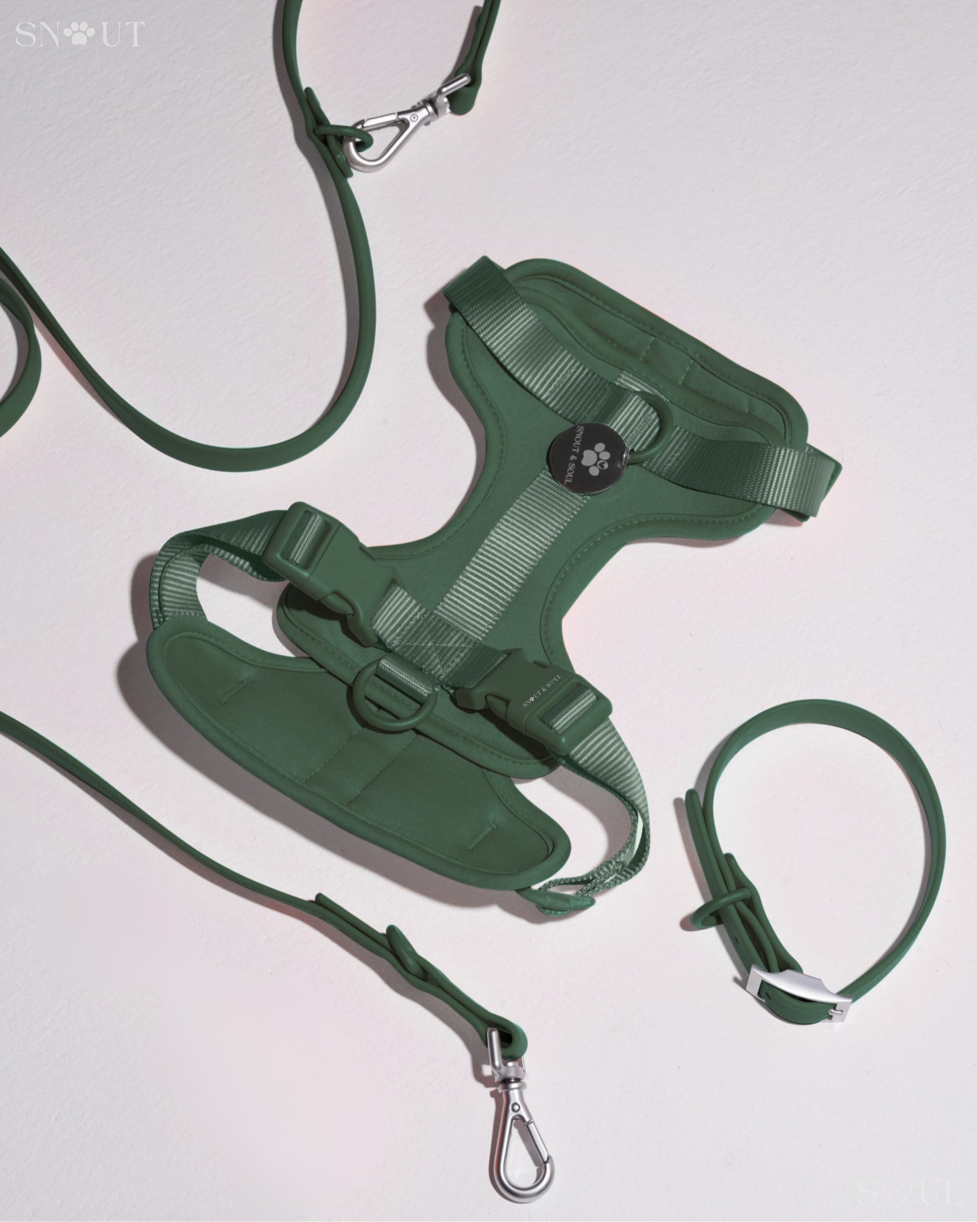 Harness Walk Set