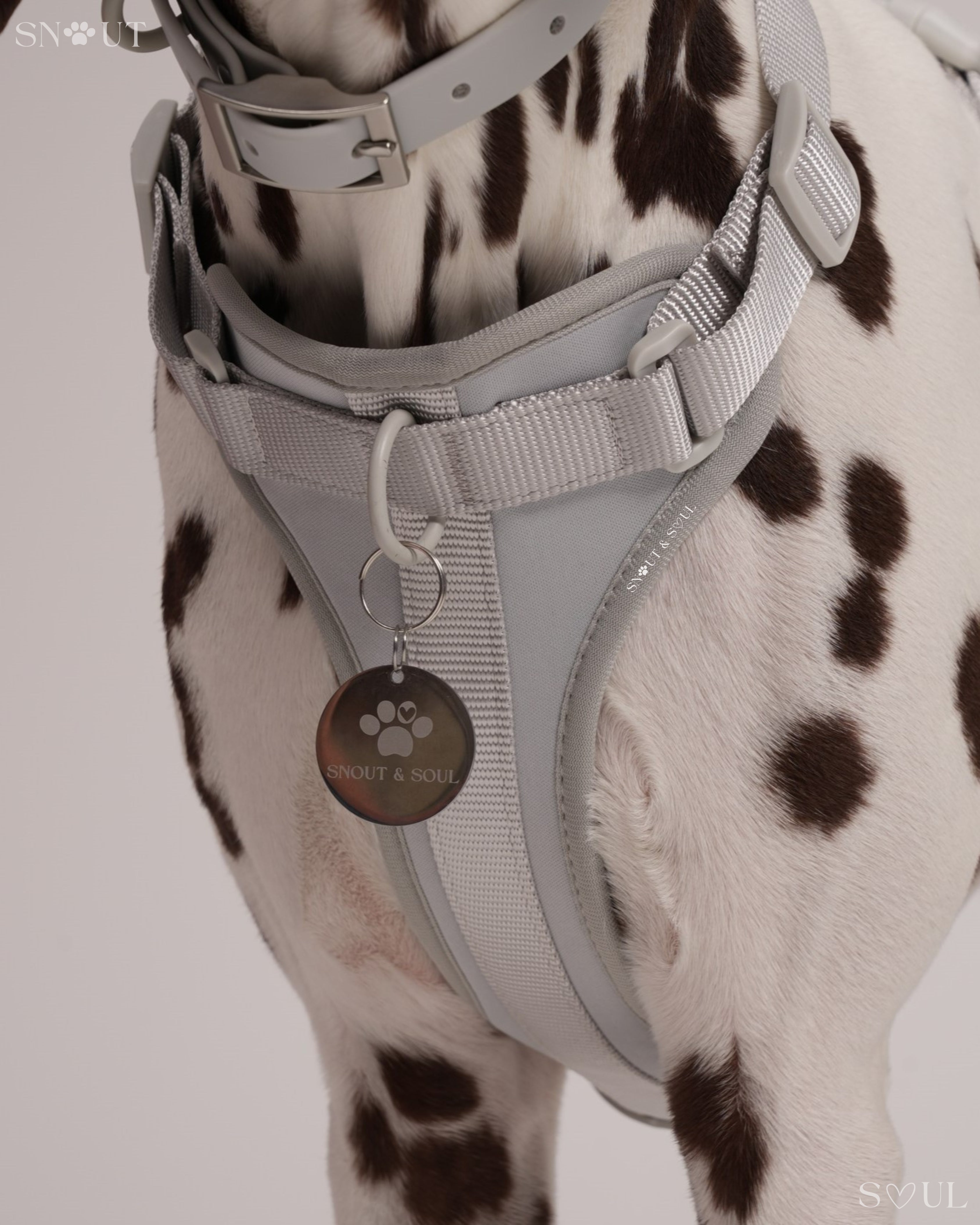 Harness Walk Set