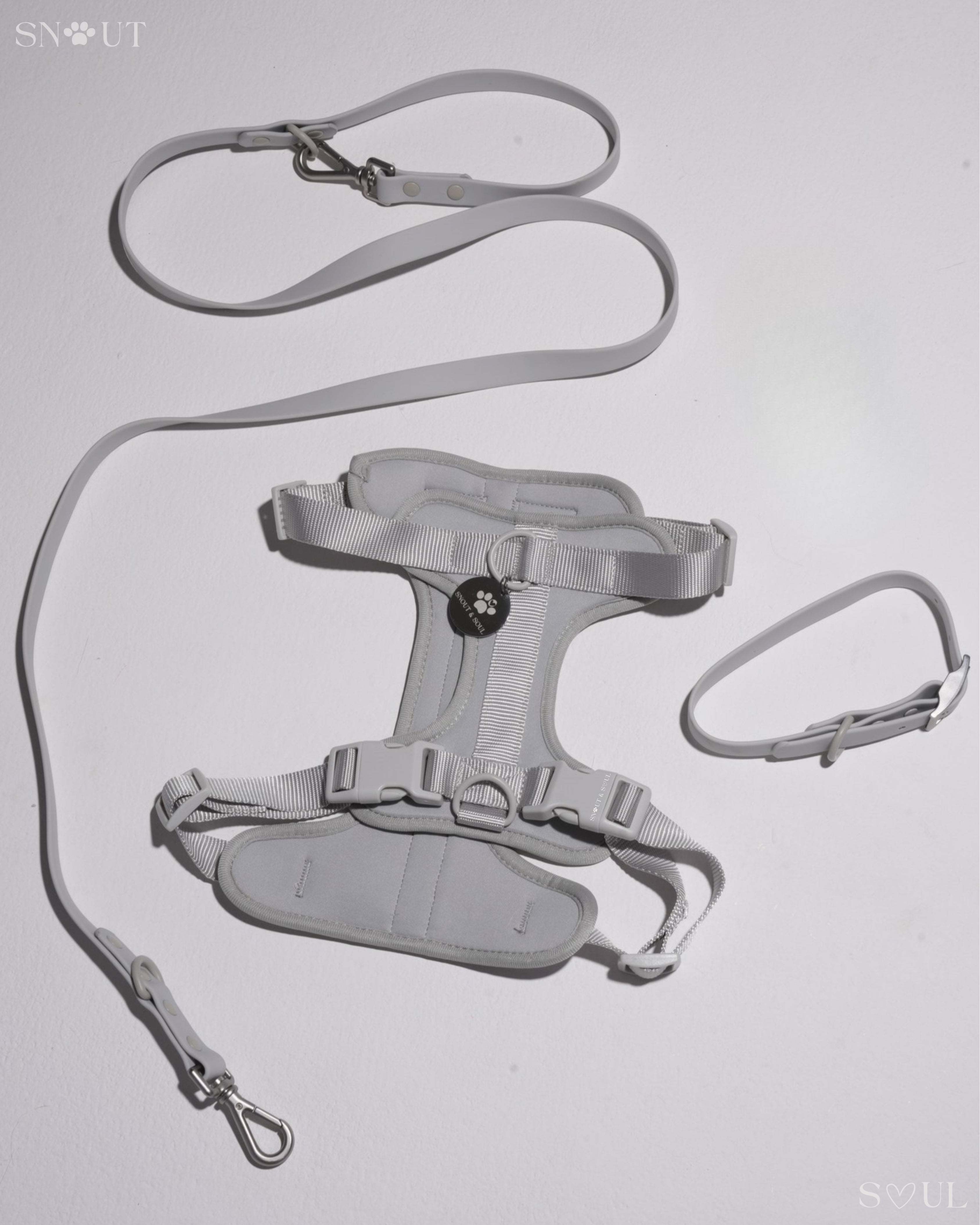 Harness Walk Set