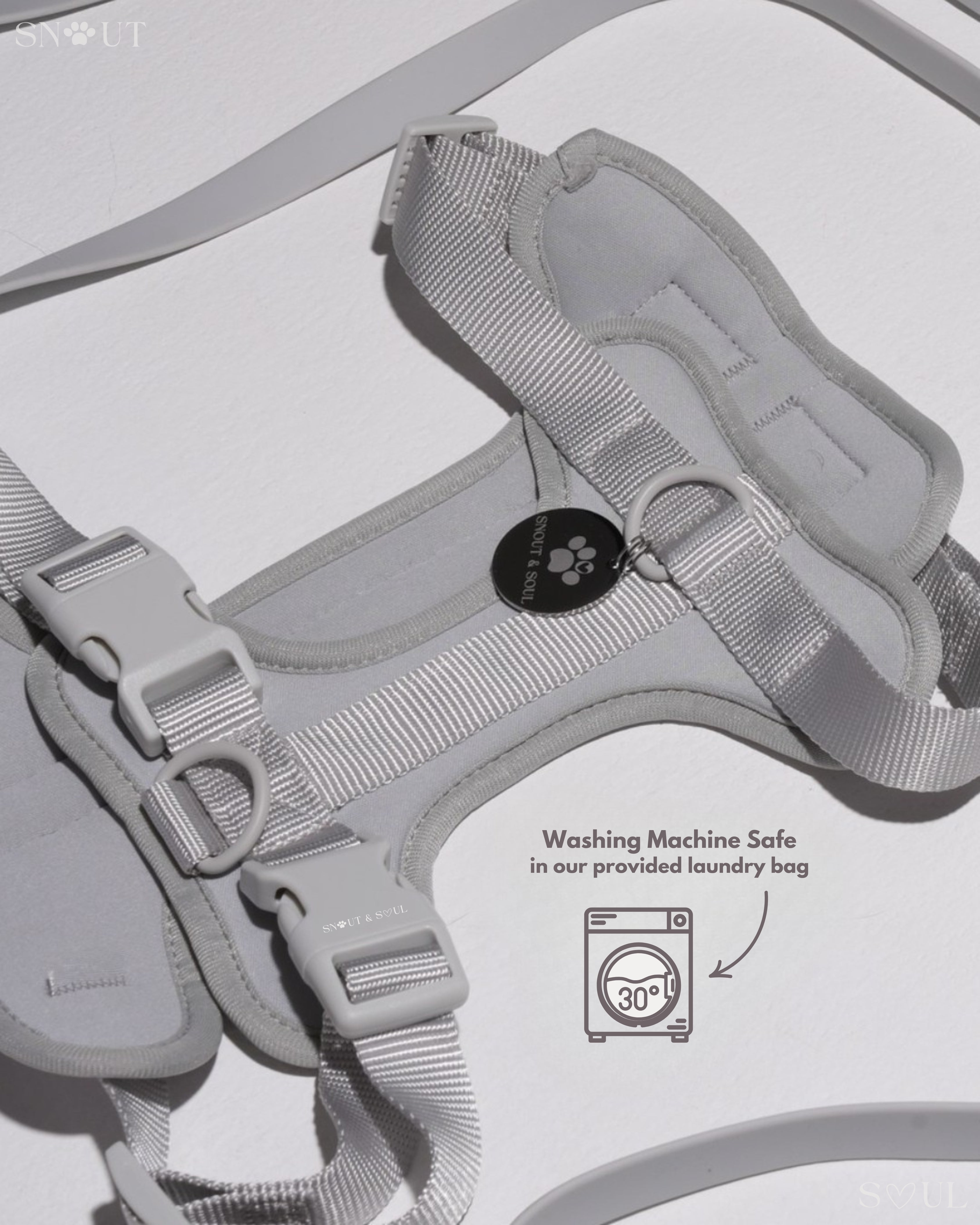 Harness Walk Set