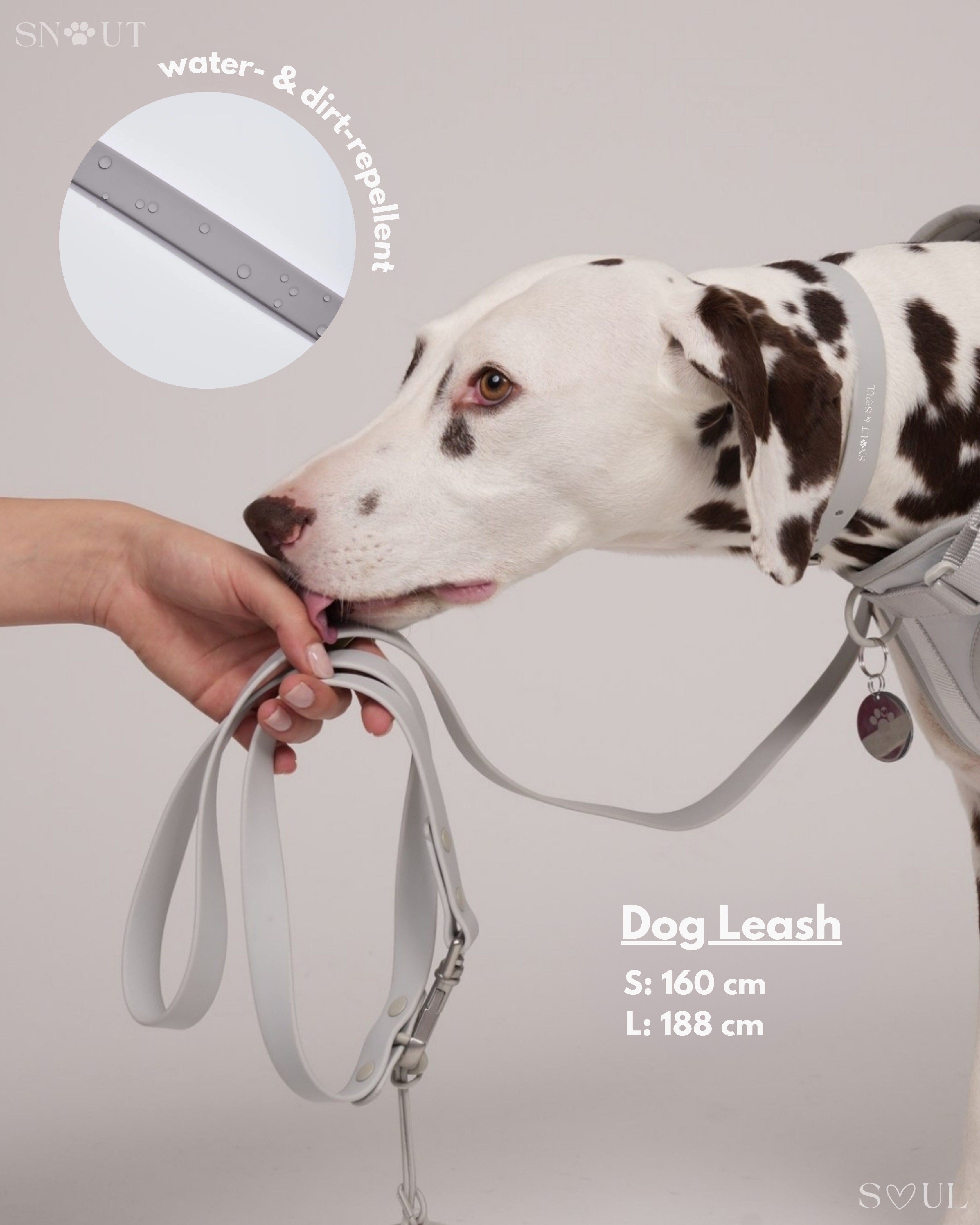 Harness Walk Set