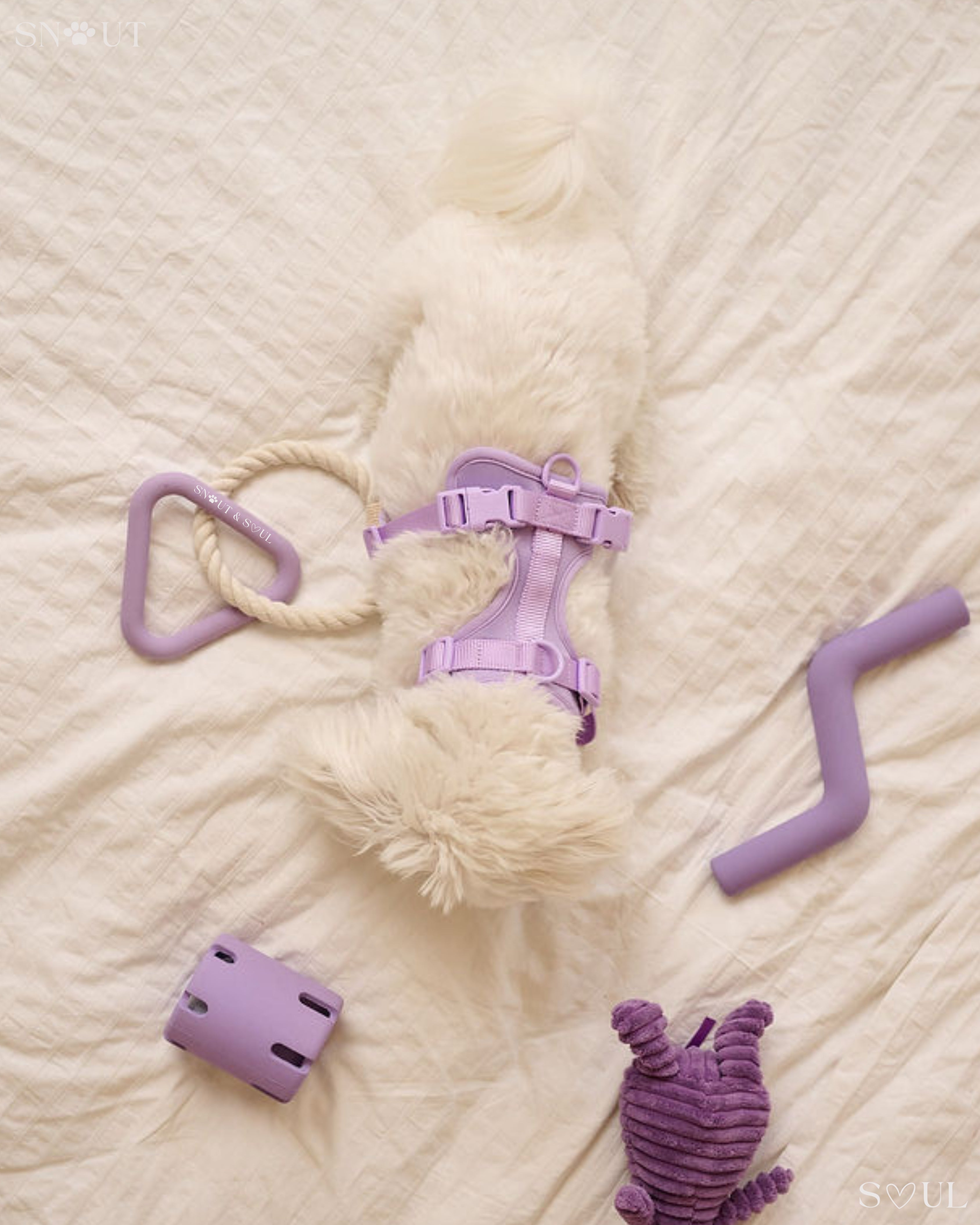 Harness Walk & Play Set