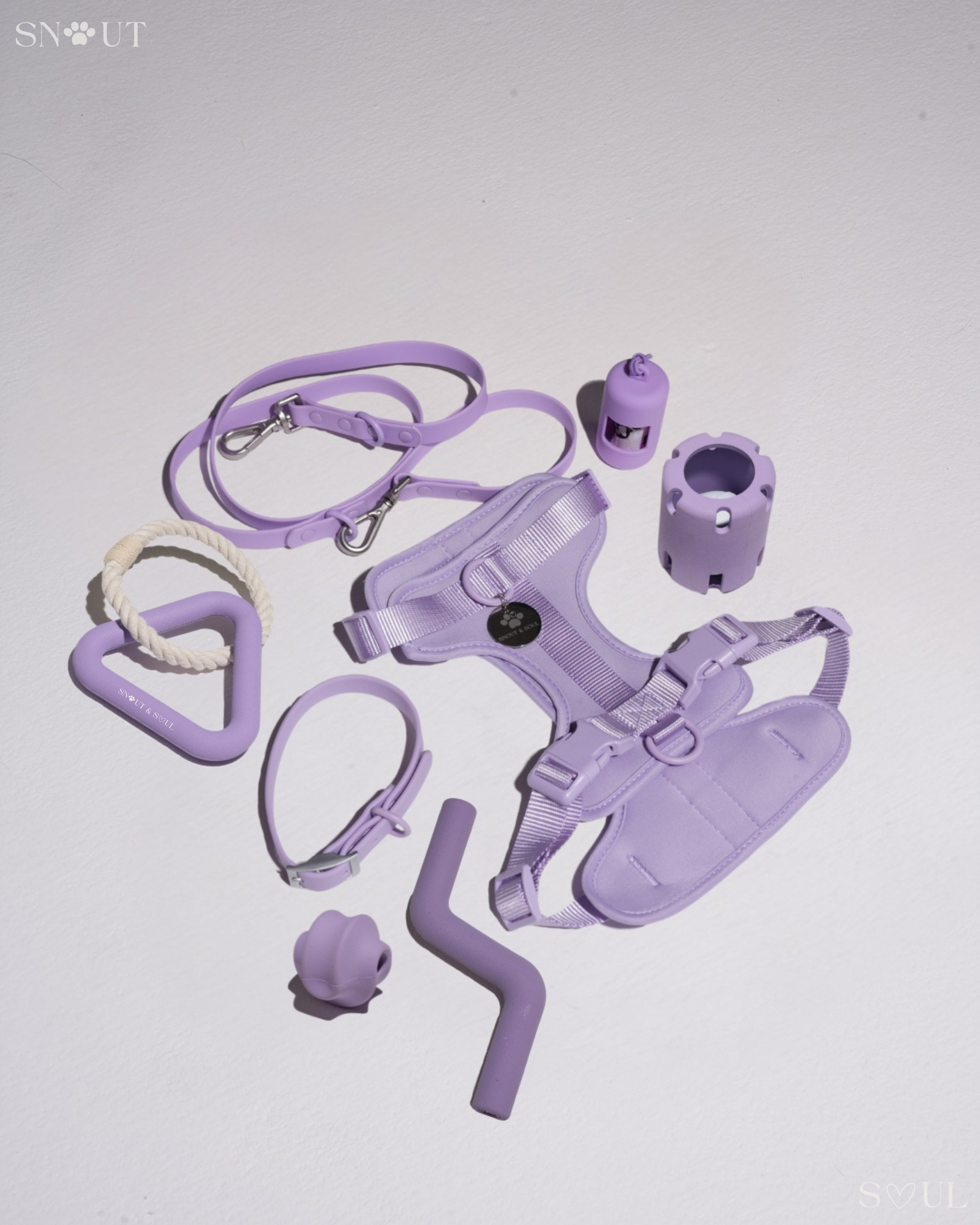Harness Walk & Play Set