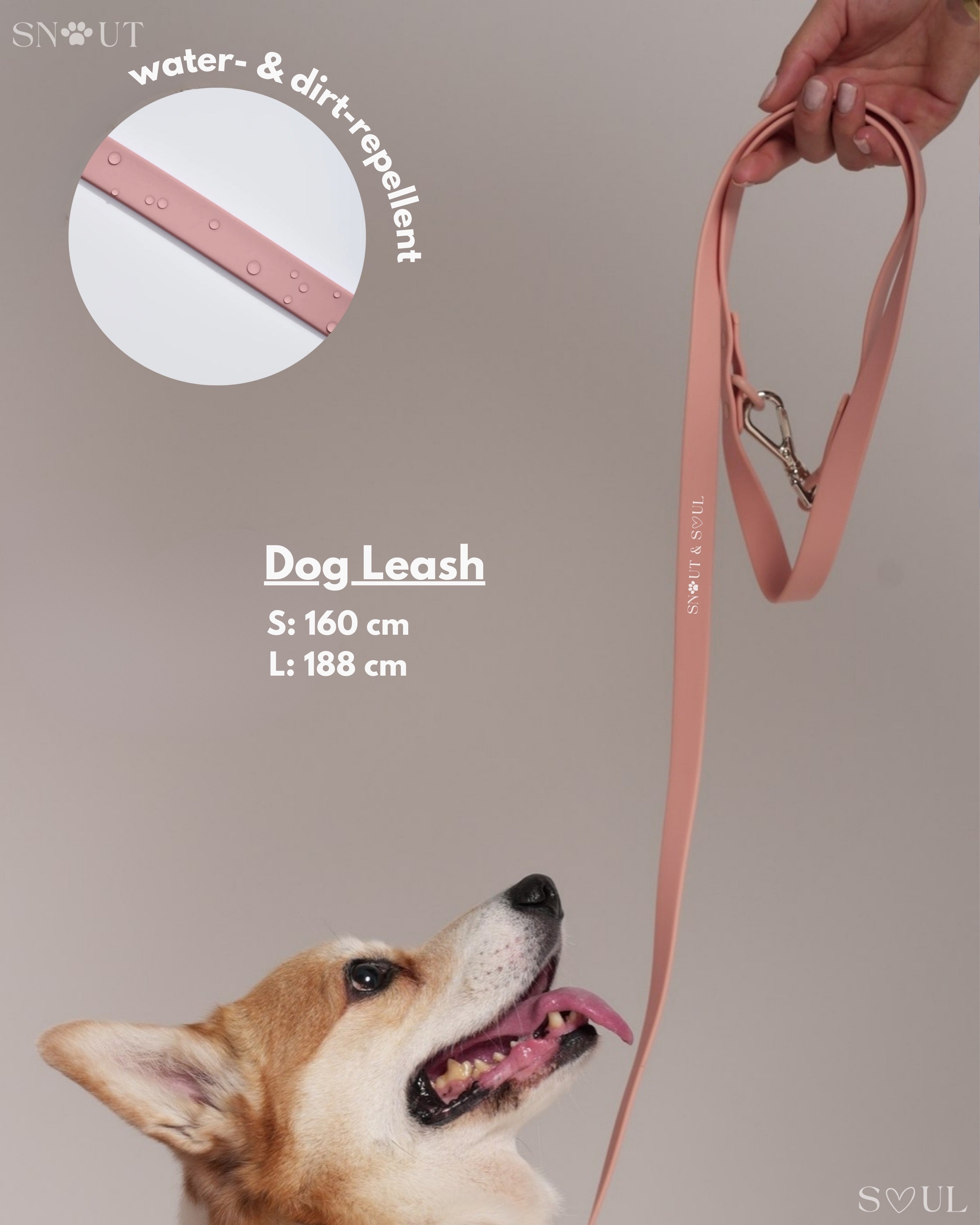 Harness Walk Set