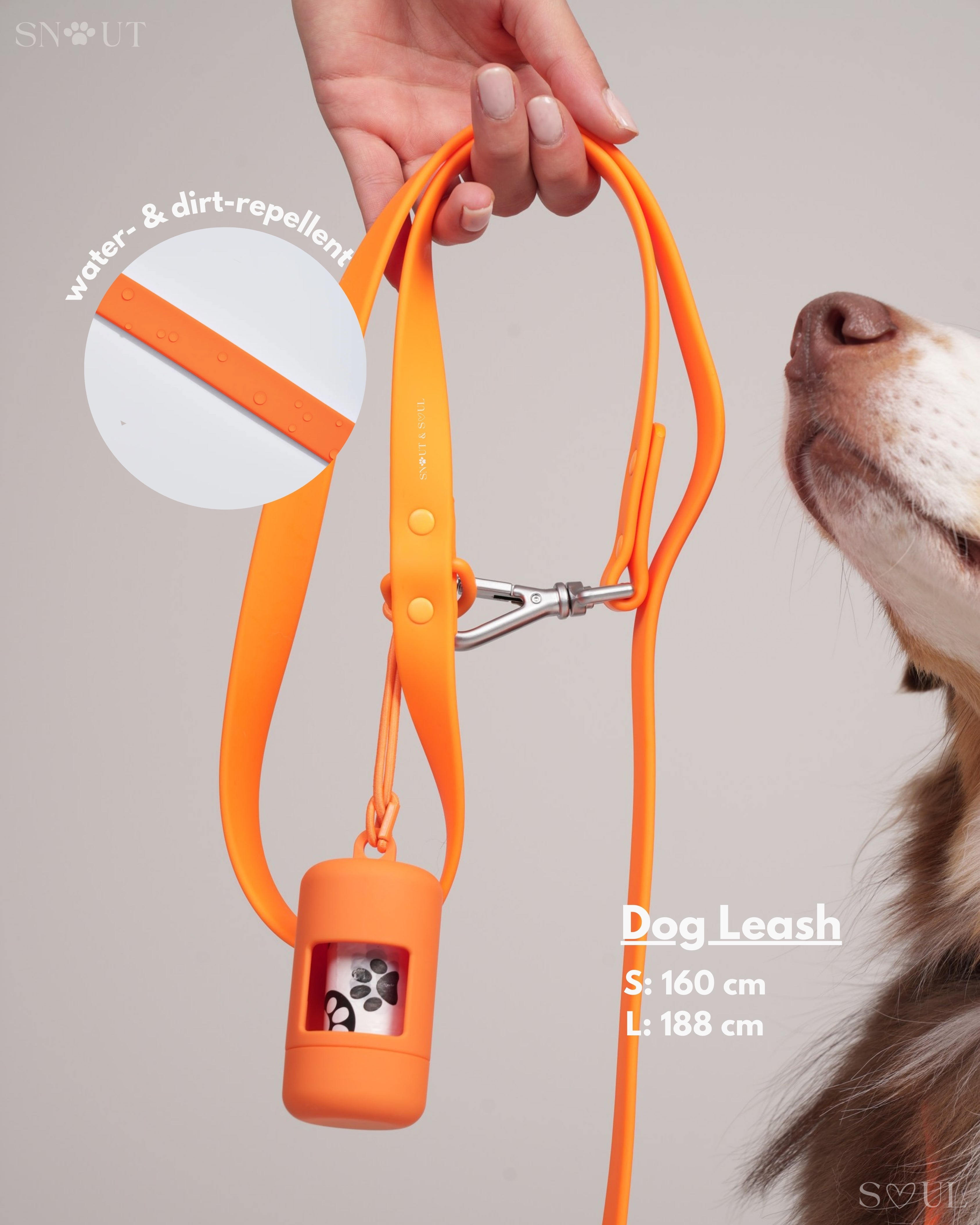 Harness Walk Set