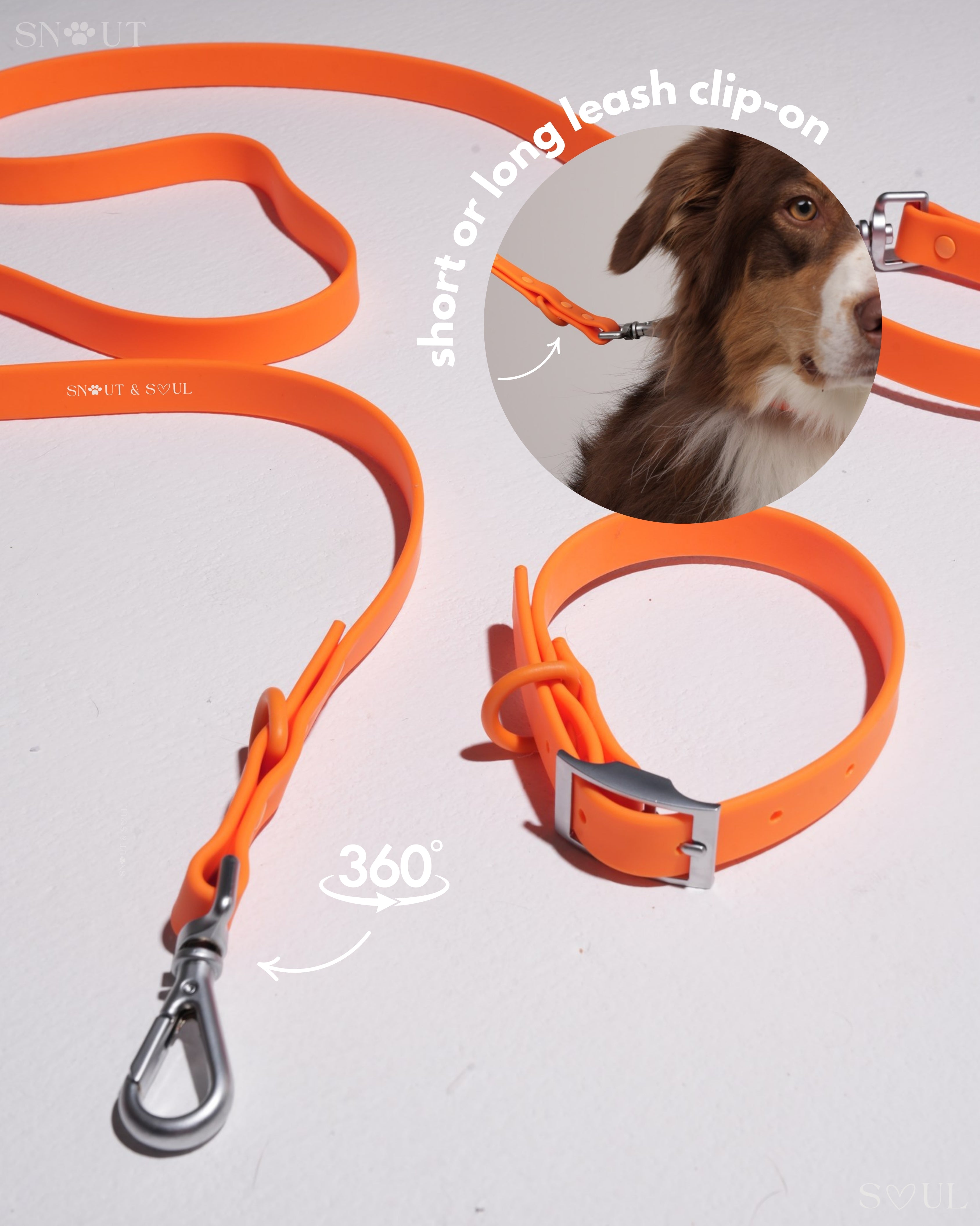 Harness Walk Set