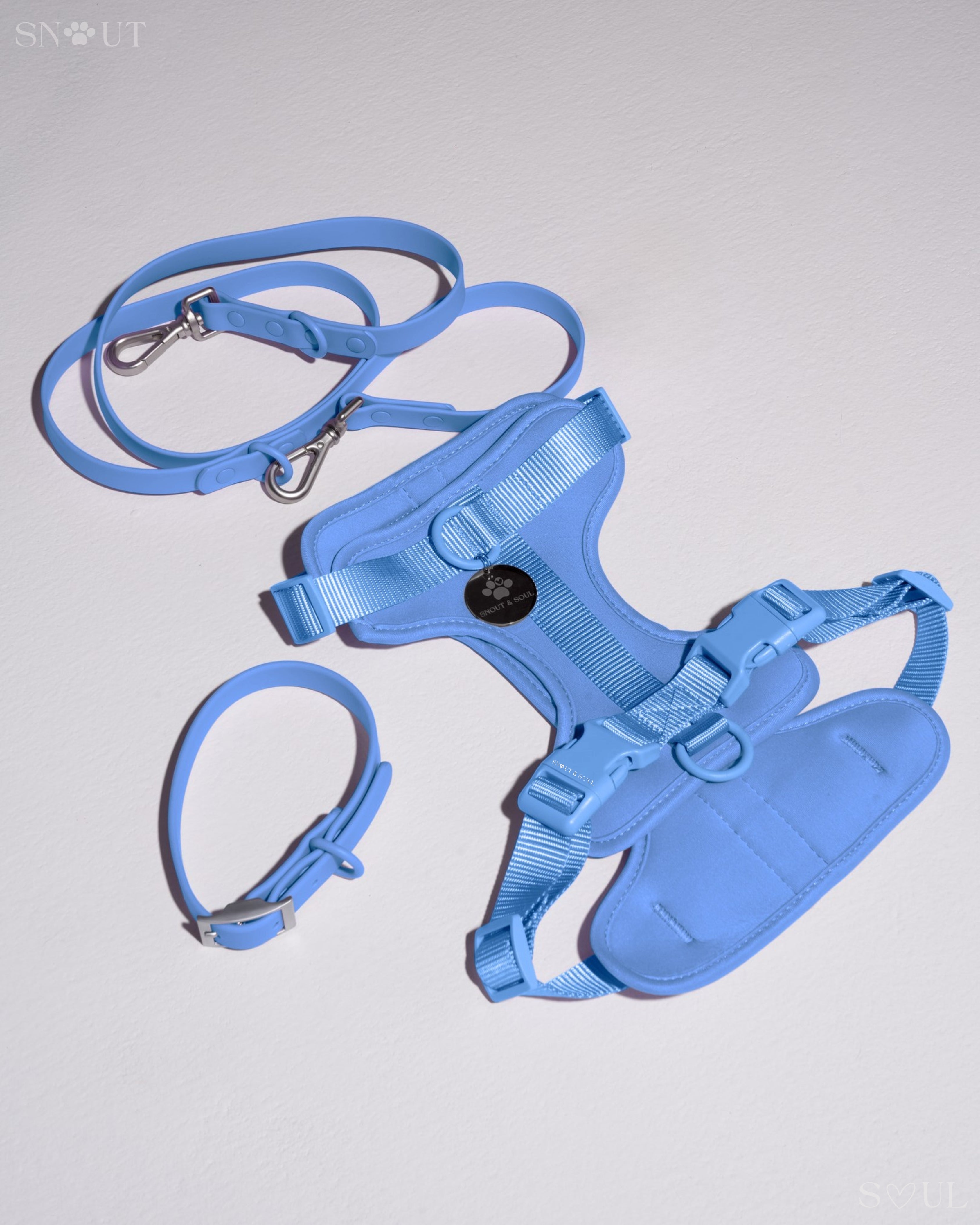 Harness Walk Set