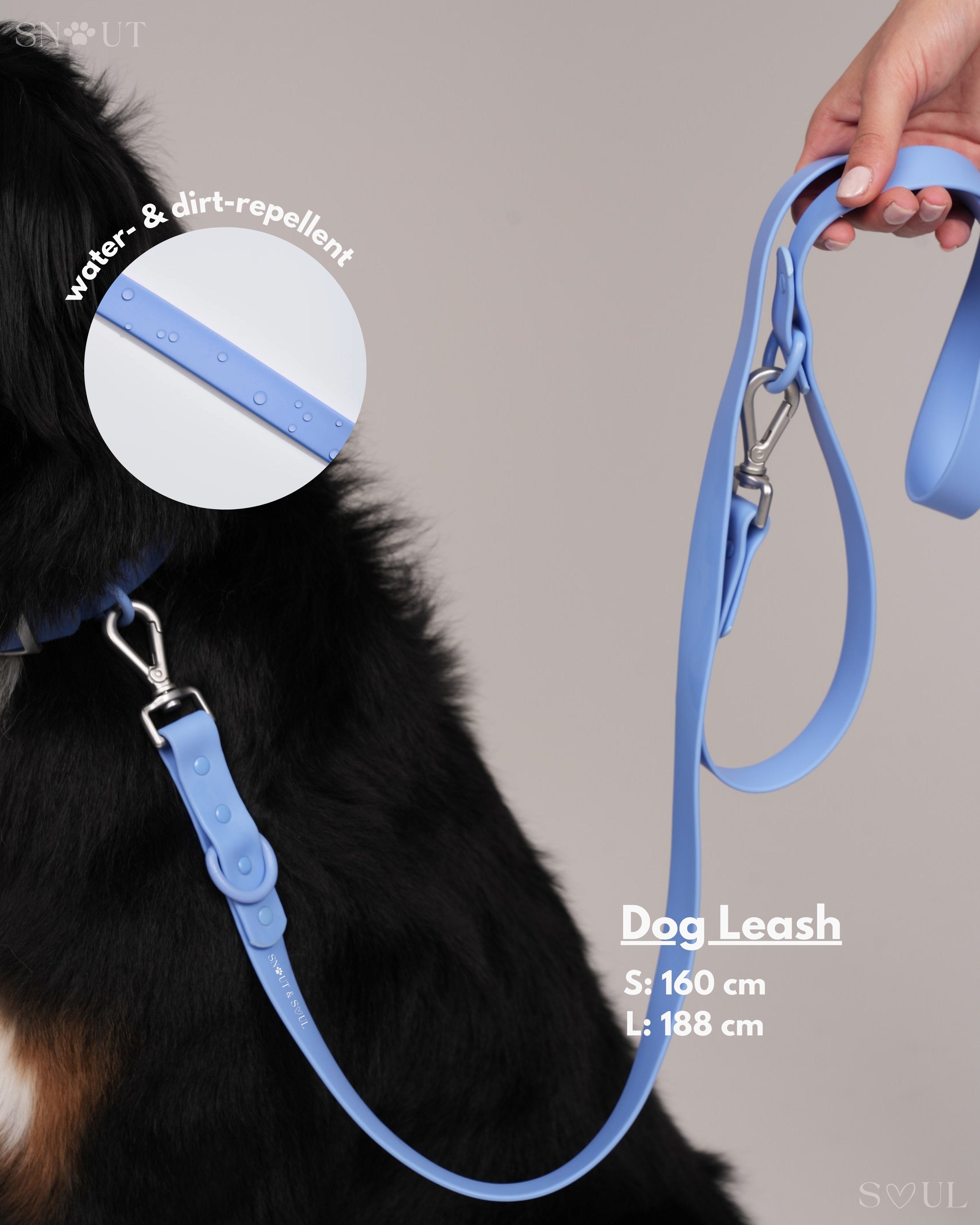 Harness Walk Set