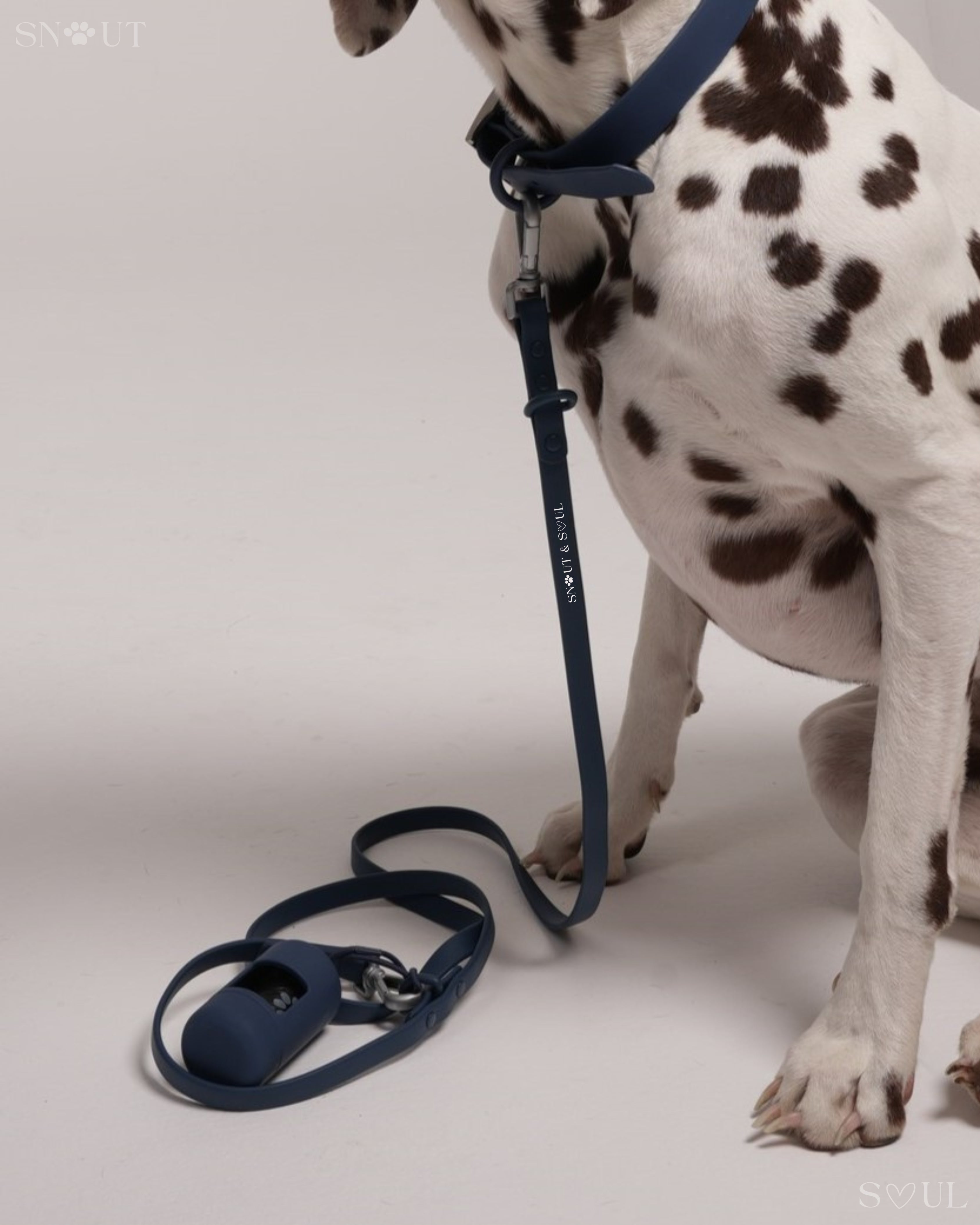 Collar Walk Set