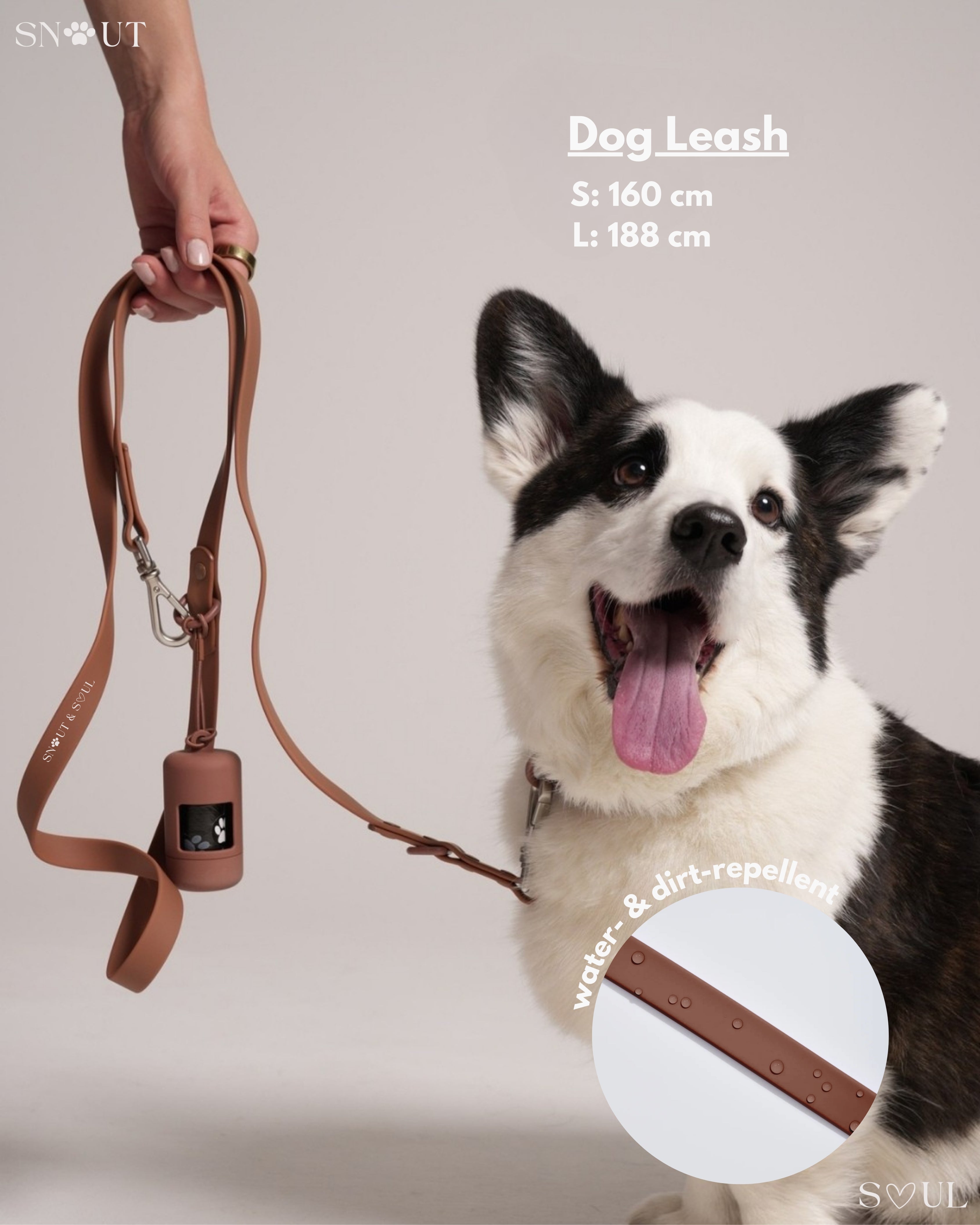 Harness Walk Set