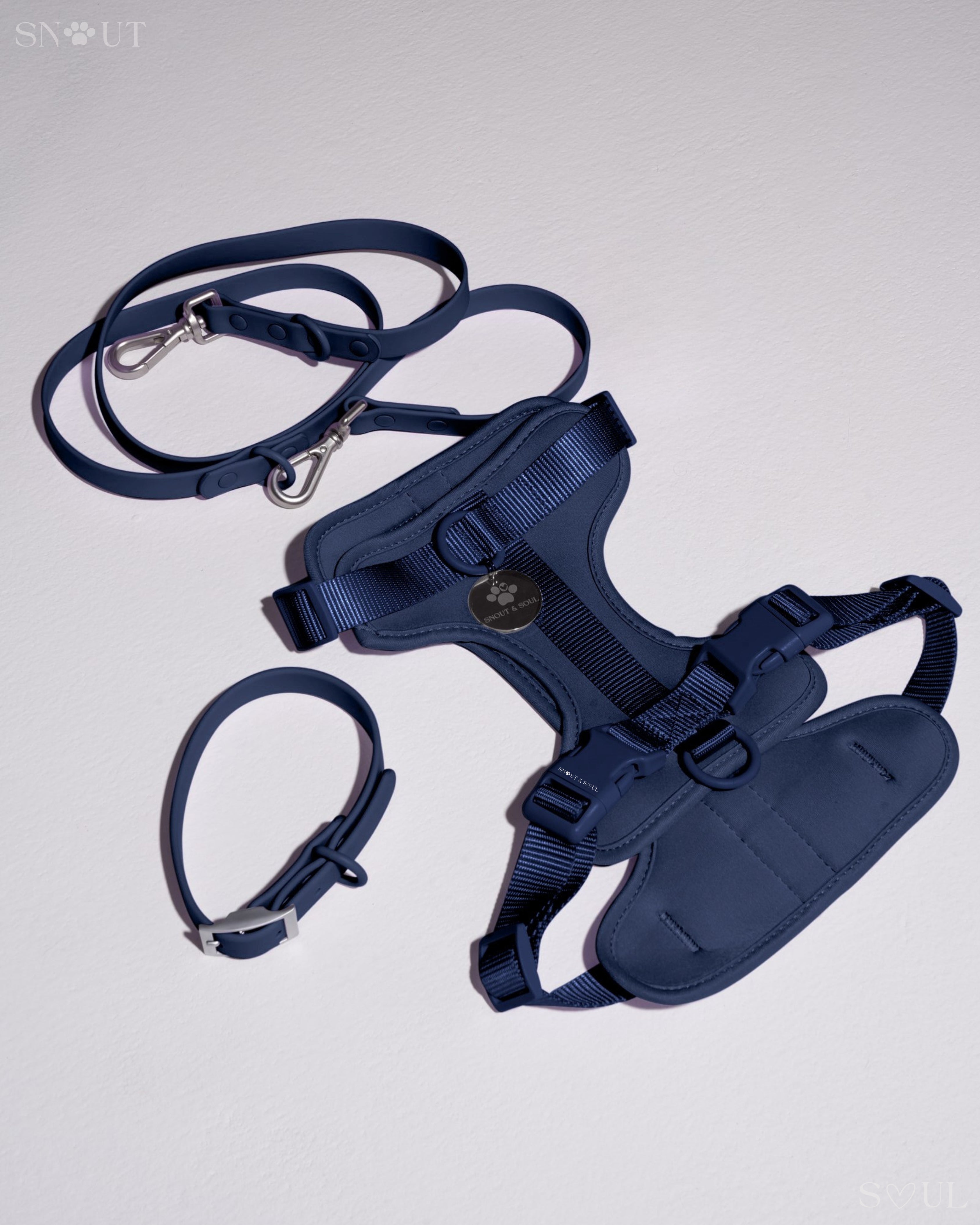 Harness Walk Set