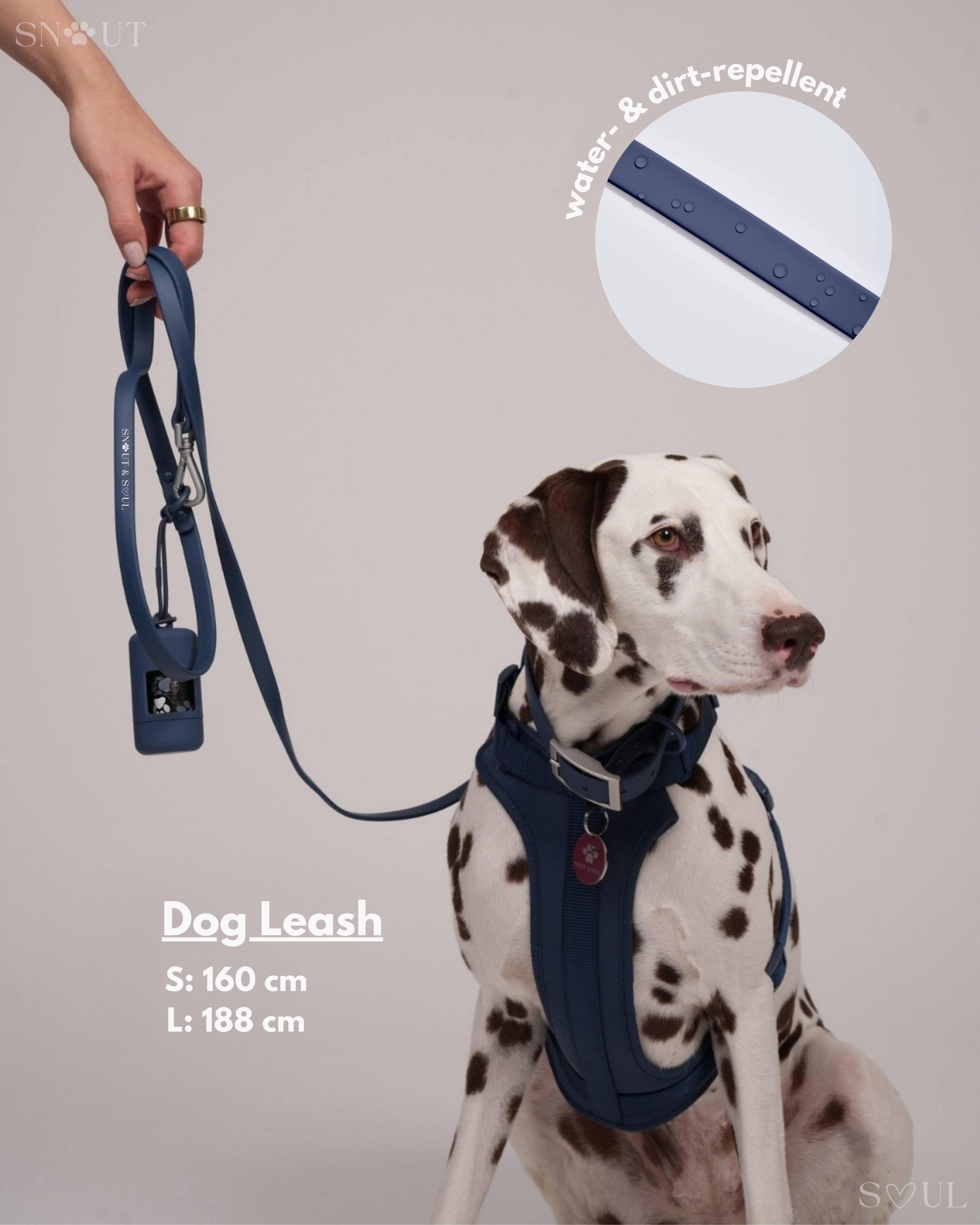 Harness Walk Set
