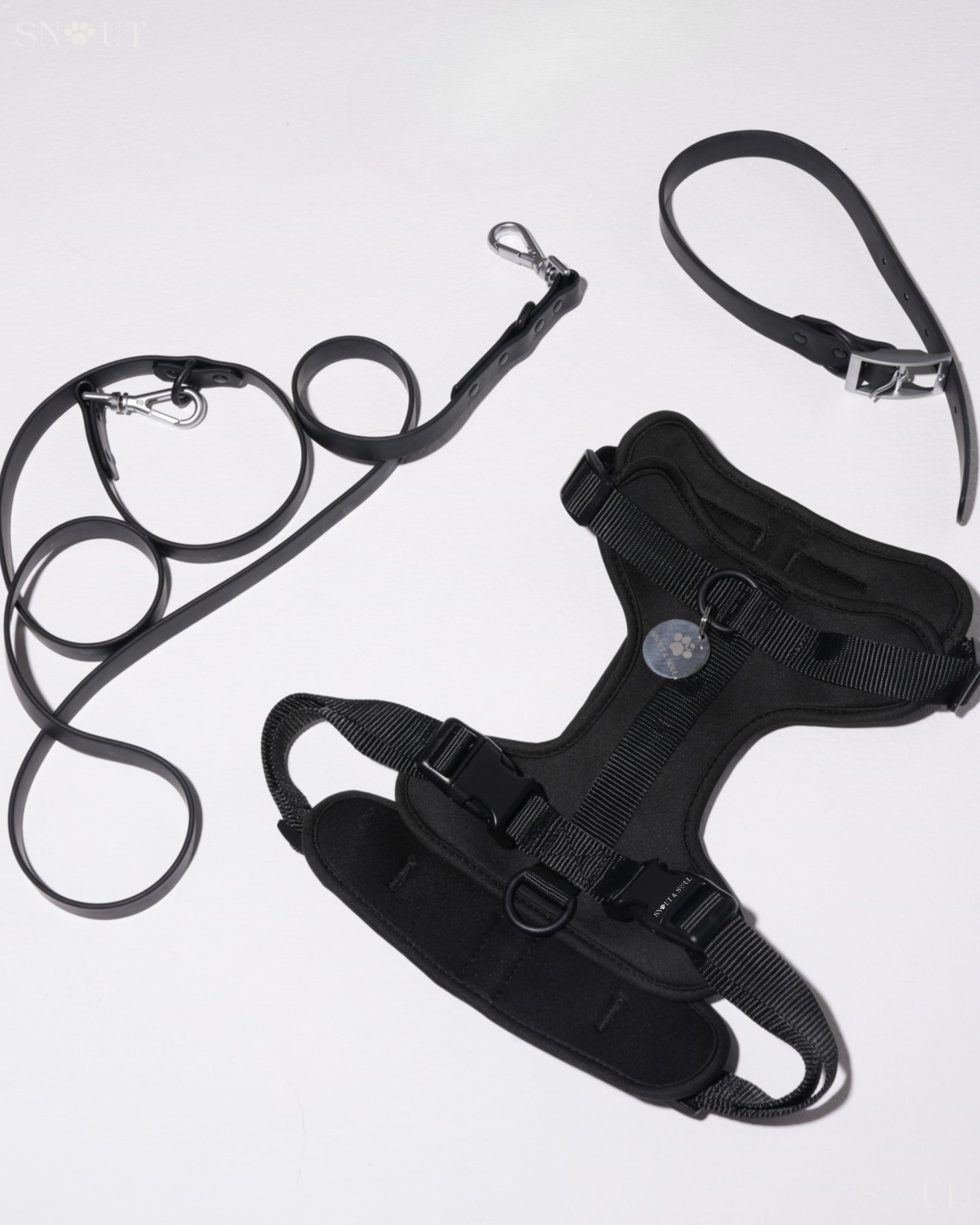 Harness Walk Set